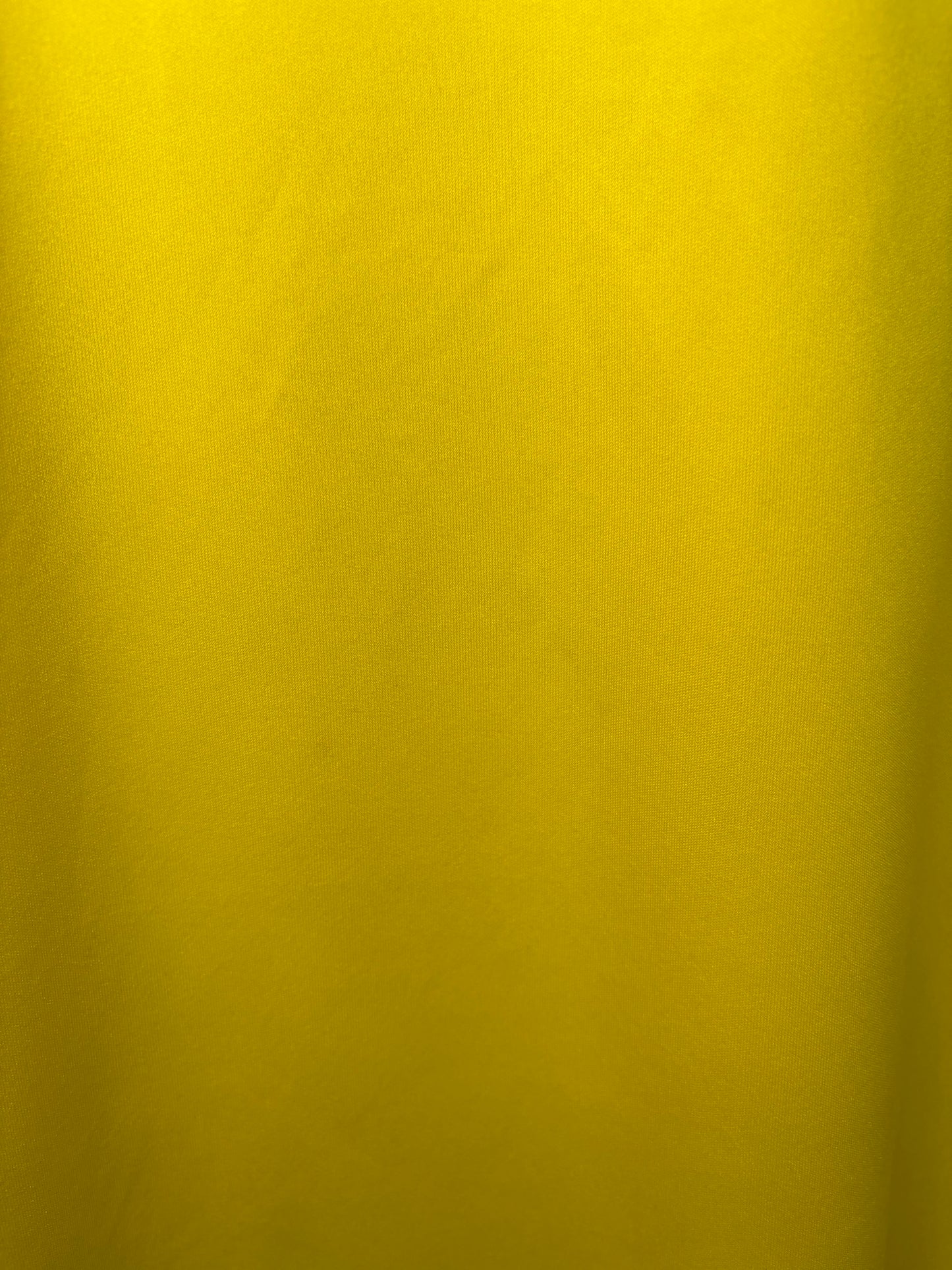 Watford Home Shirt 2017/18 (M)