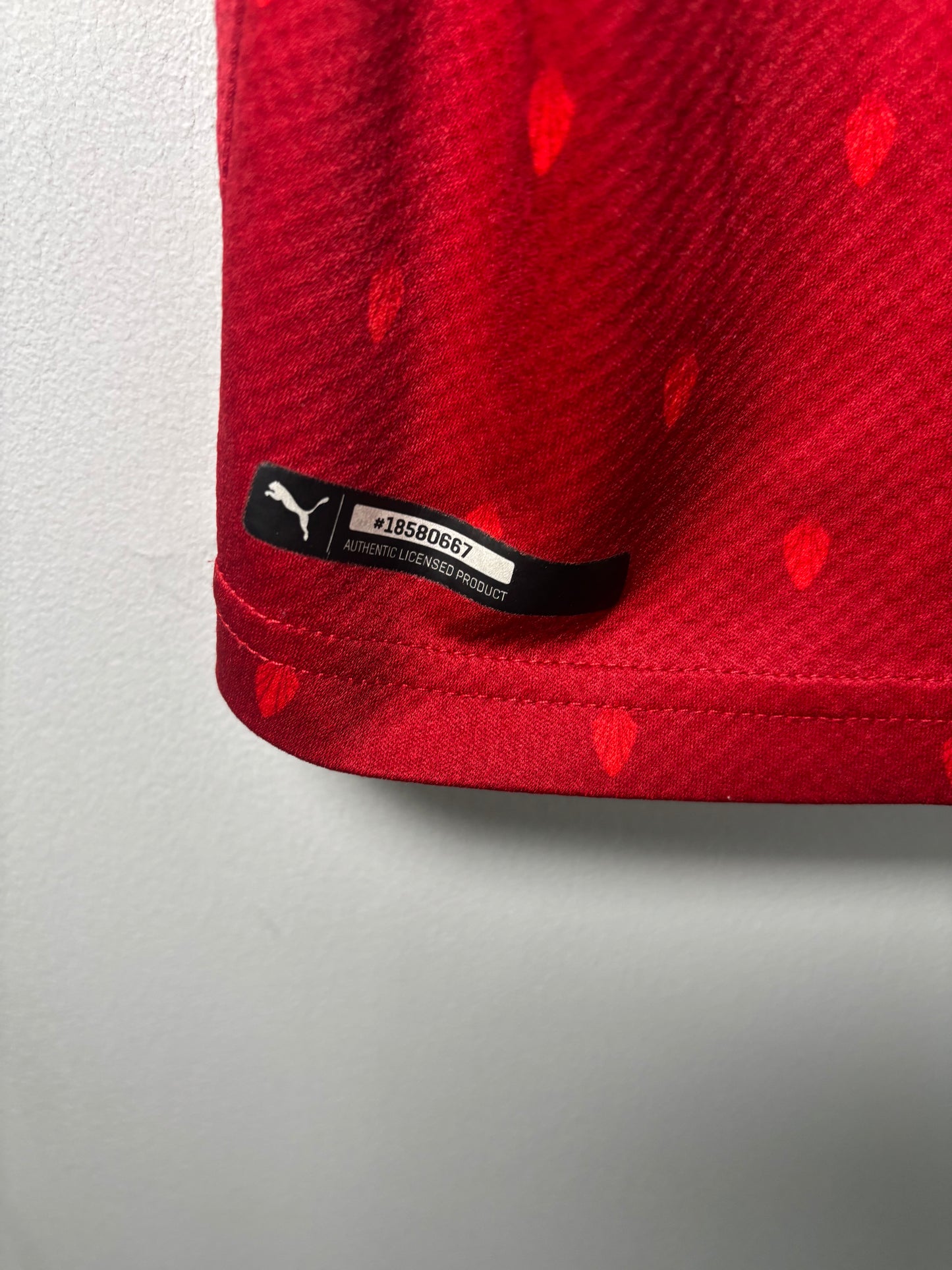 Austria Home Shirt 2020 (L)