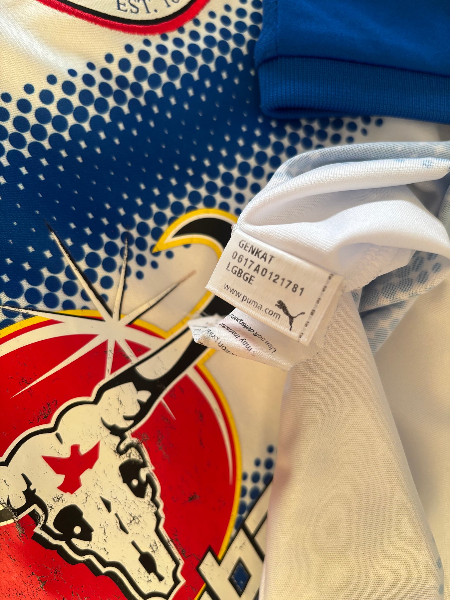 Reading Home Shirt 2017/18 (M)