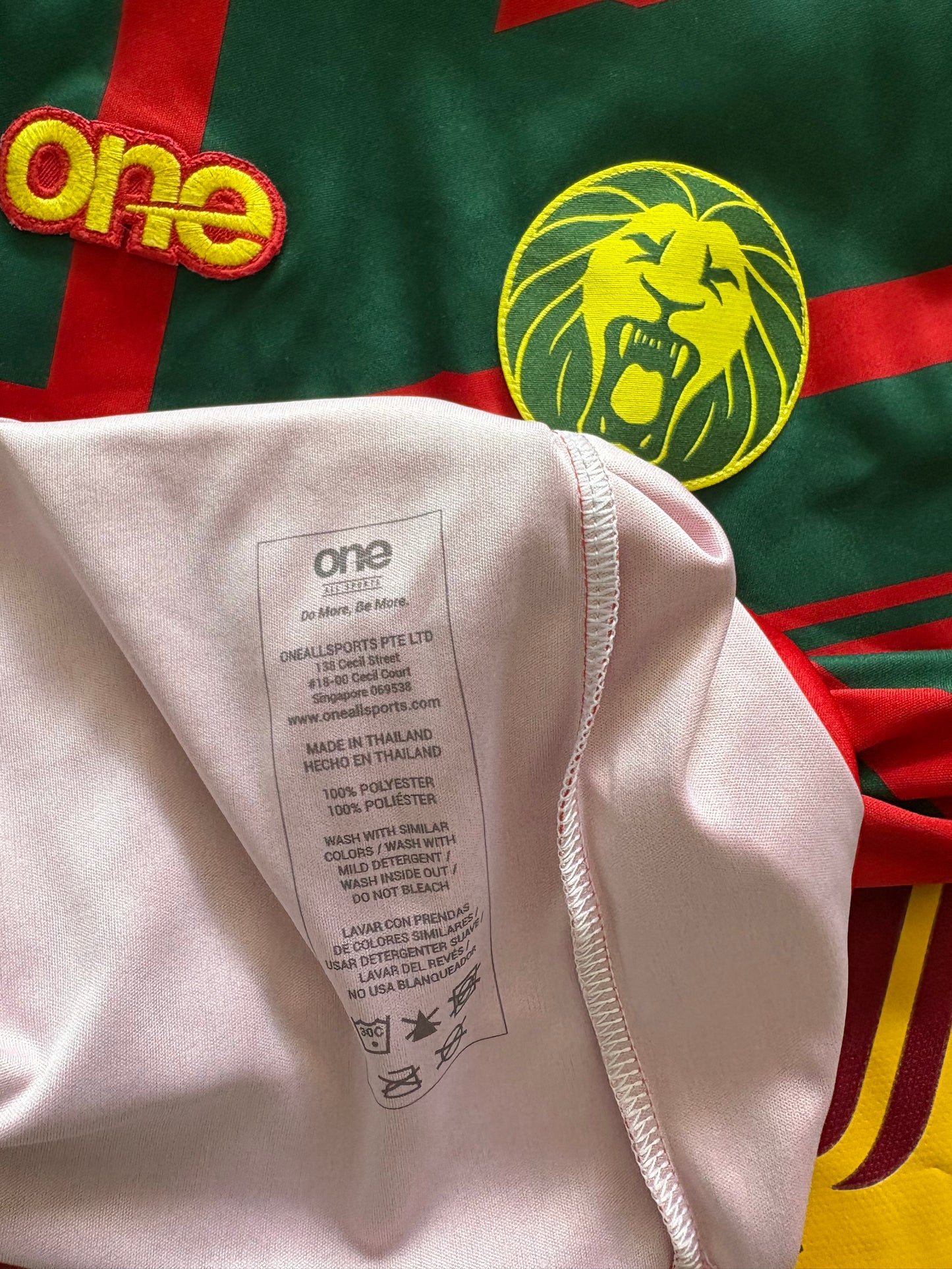 Cameroon Third Shirt 2021/22 (L)