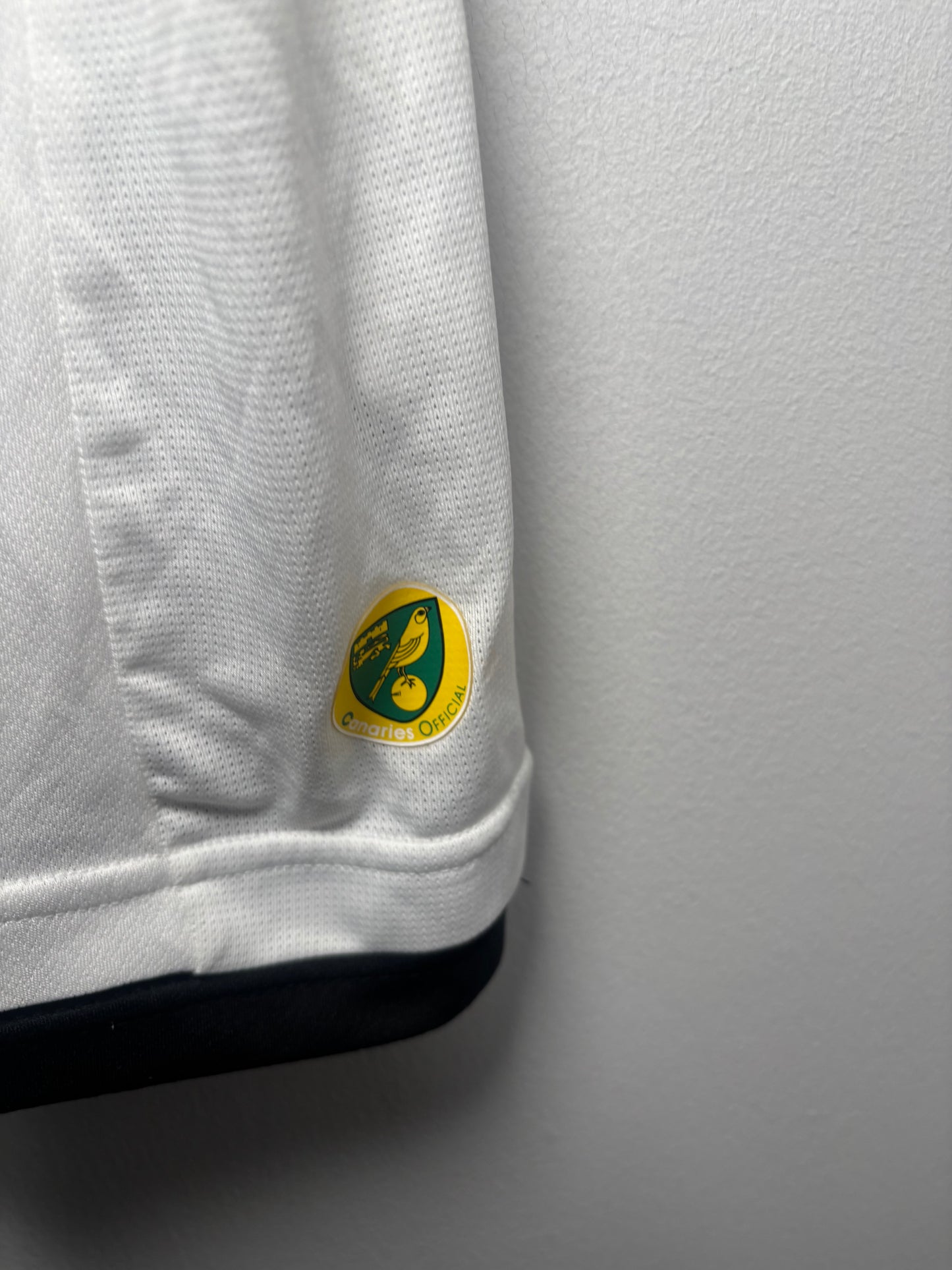 Norwich City Away Shirt 2013/14 (L)