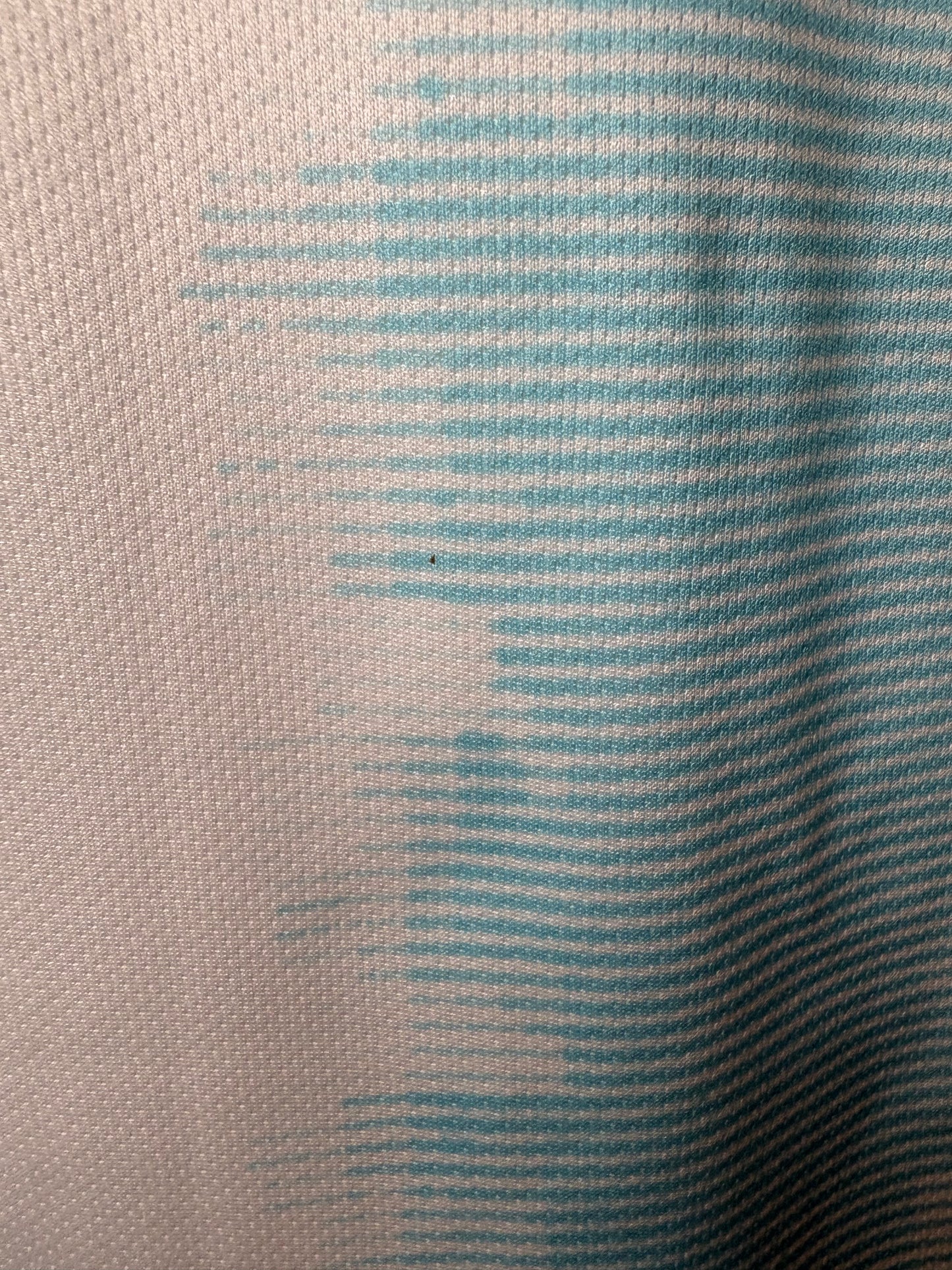 Argentina Home Shirt 2019 (M)