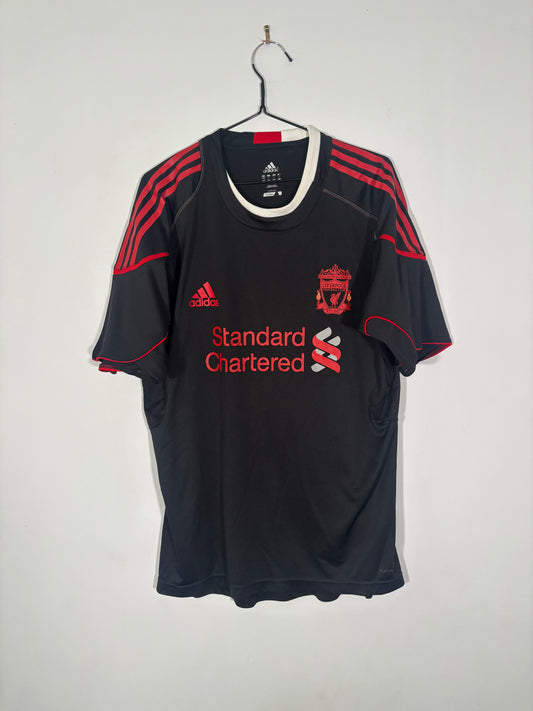 Liverpool Training Shirt 2010 (L)