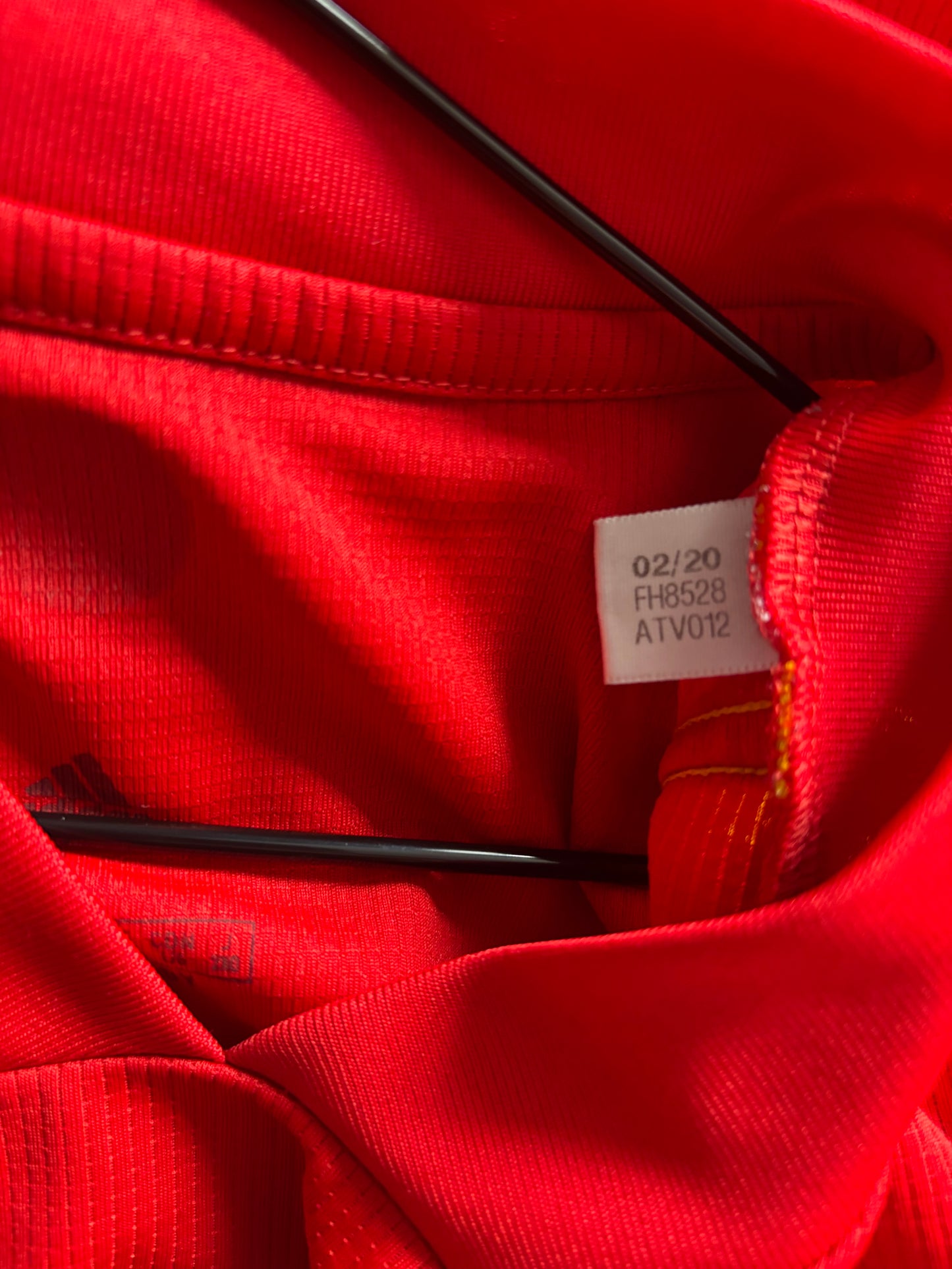 Wales Home Shirt 2020 (L)
