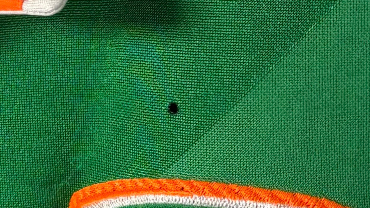 Ireland Home Shirt 2016 (L)