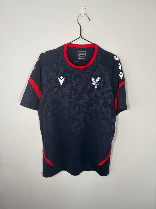 Crystal Palace Training Shirt 2024/25 (L)