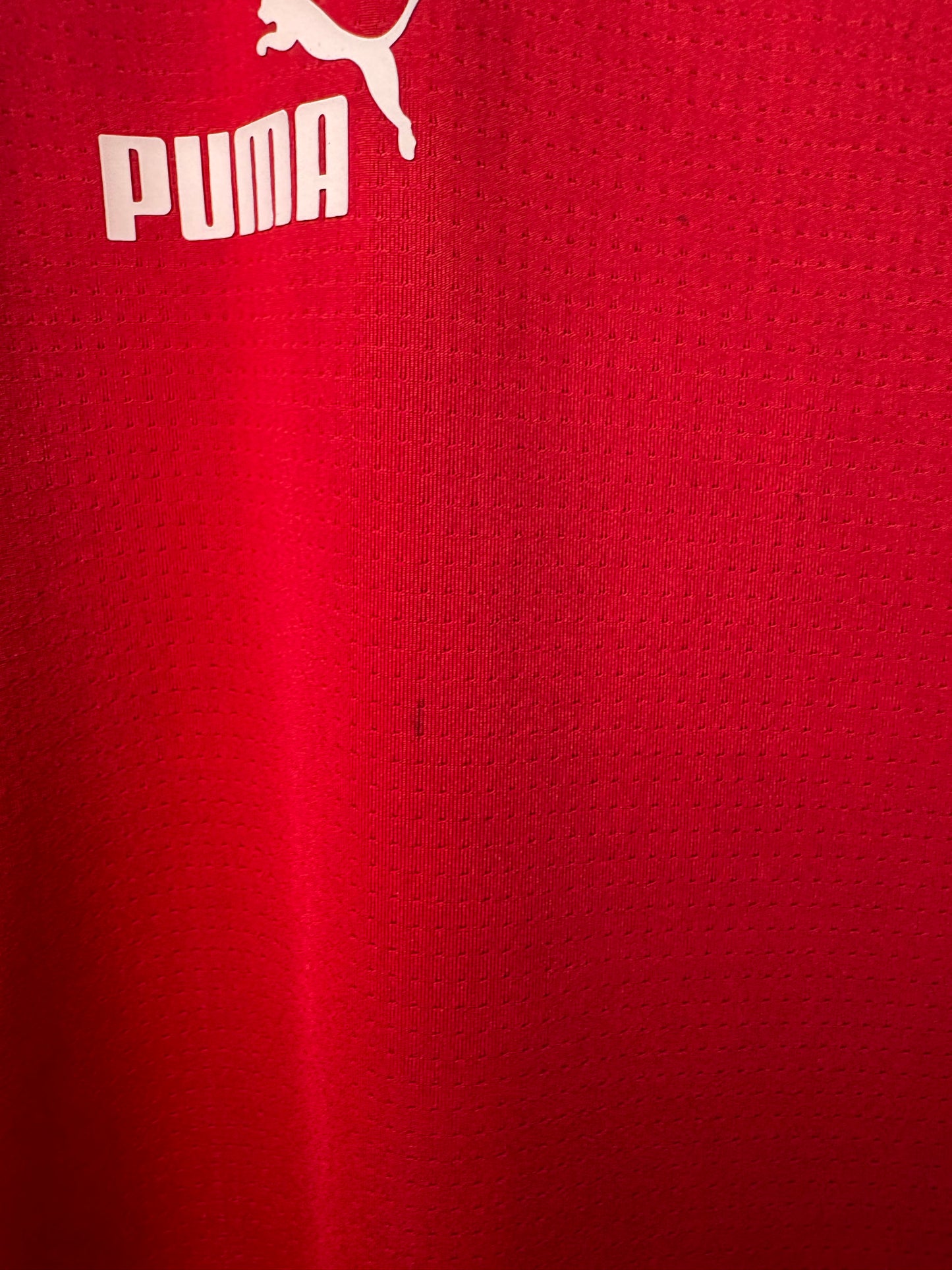 Czech Republic Training Shirt 2020 (L)