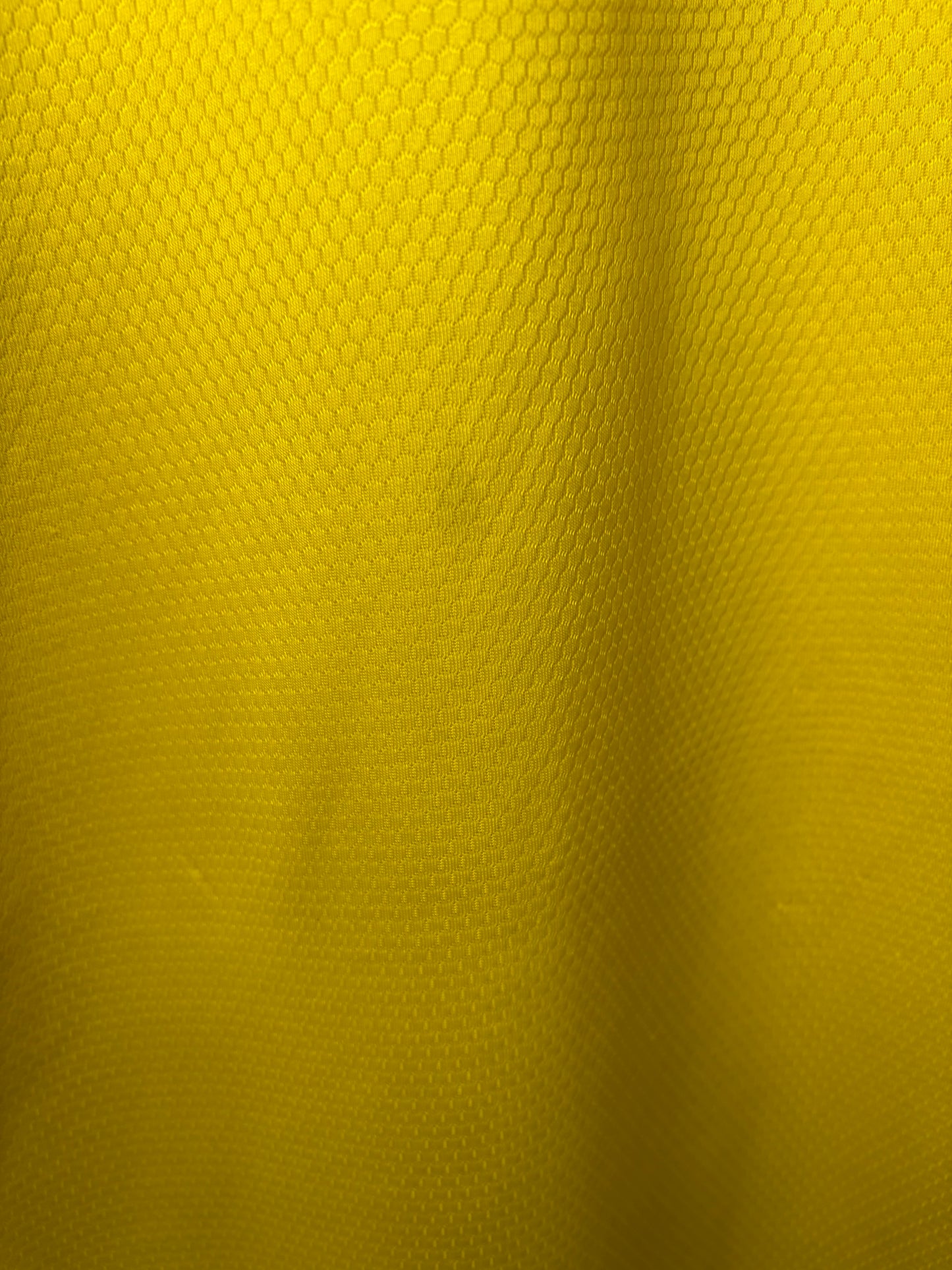 Sweden Home Shirt 2020 (L)