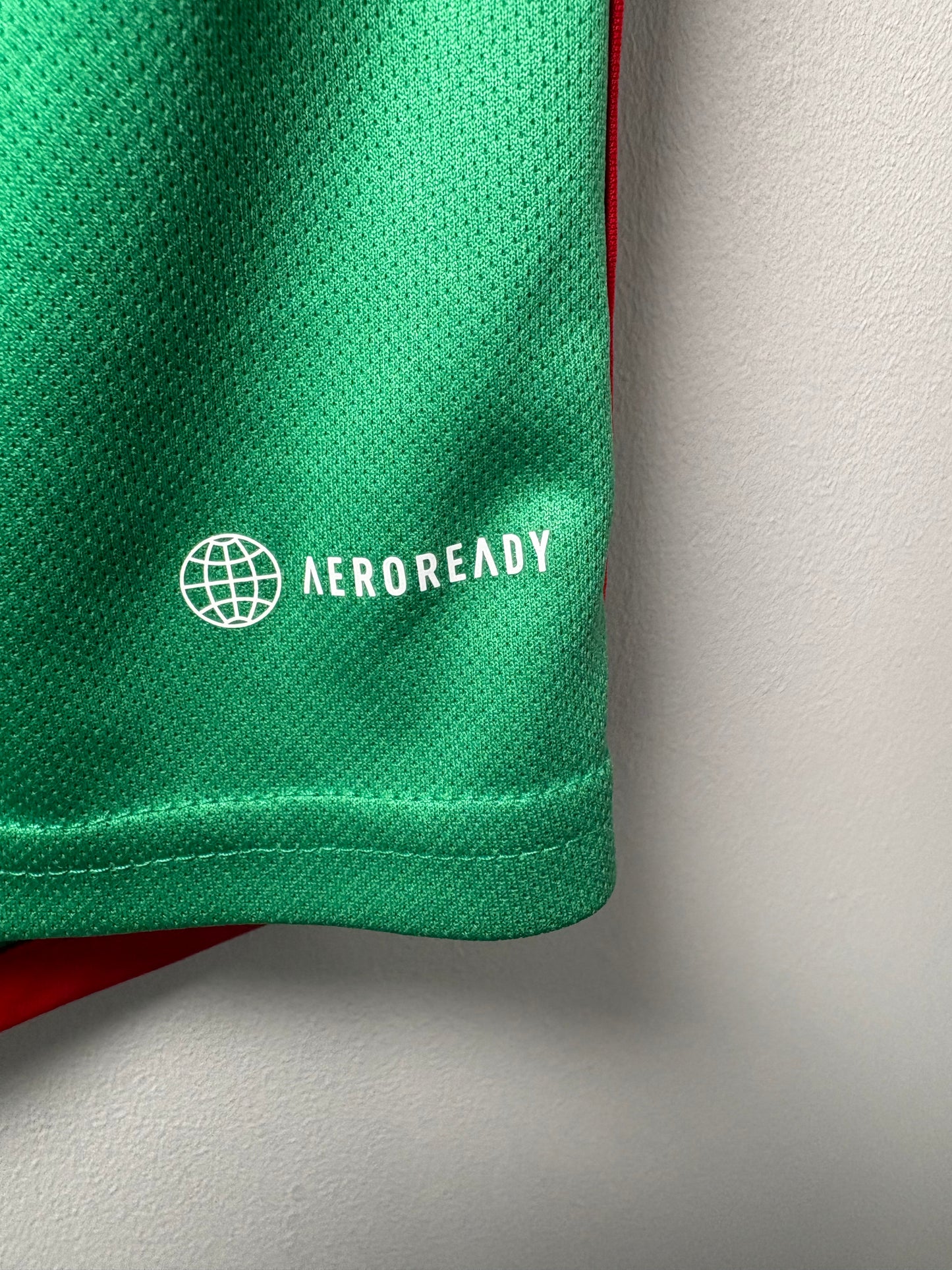 Mexico Home Shirt 2022 (M)