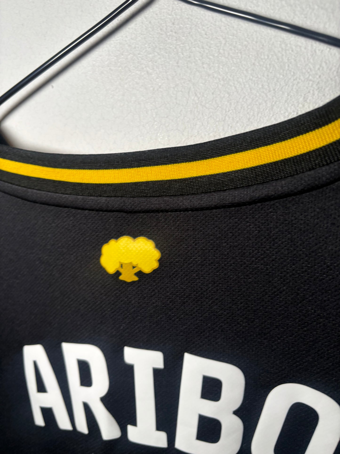 Southampton Third Shirt 2023/24 Joe Aribo (XXL)