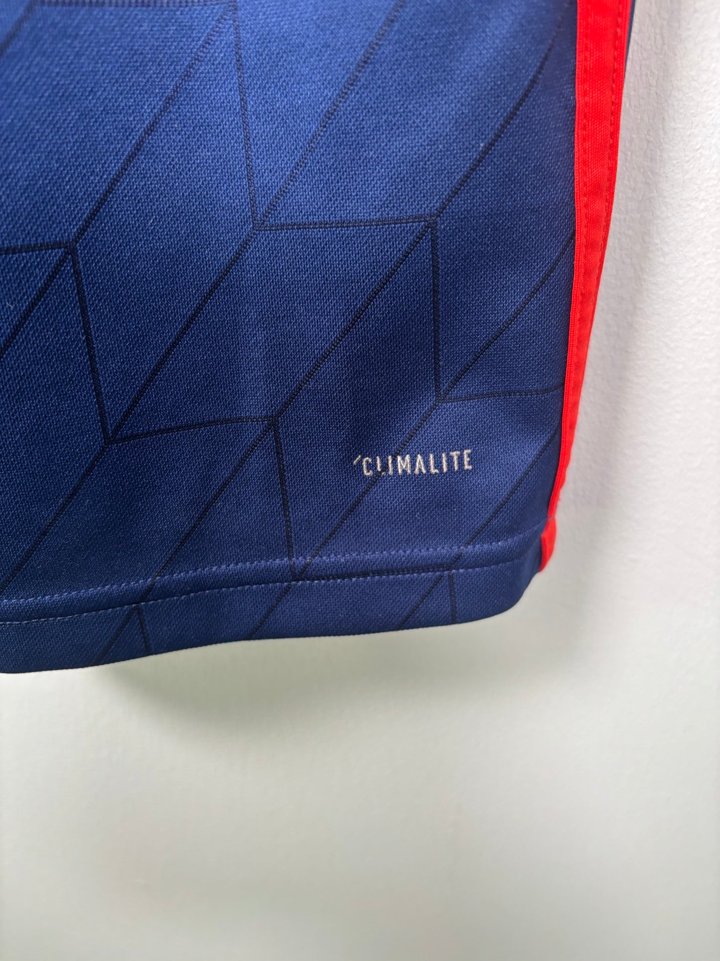 Lyon Away Shirt 2018/19 (S)