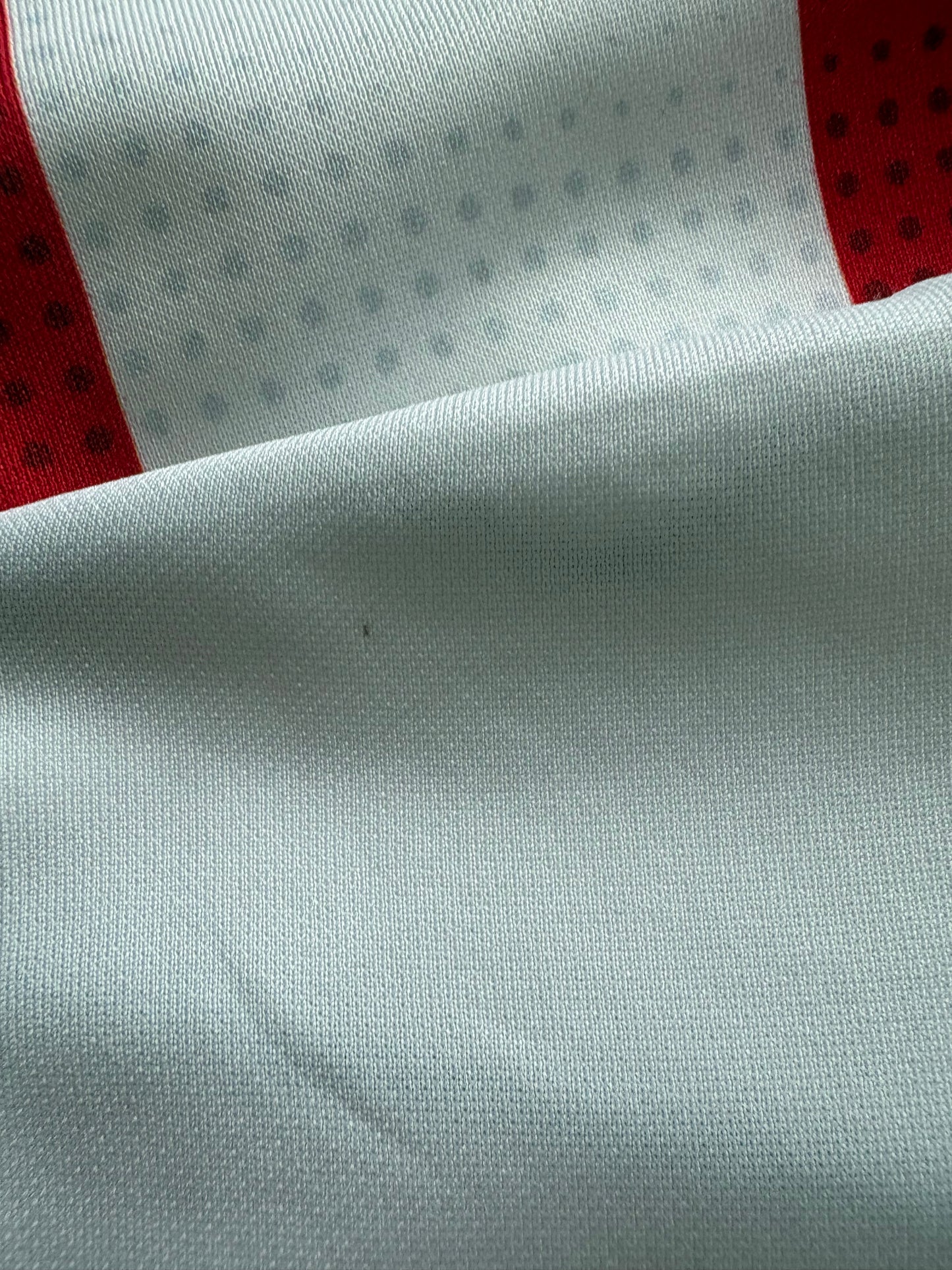Sunderland Home Shirt 2021/22 (L)