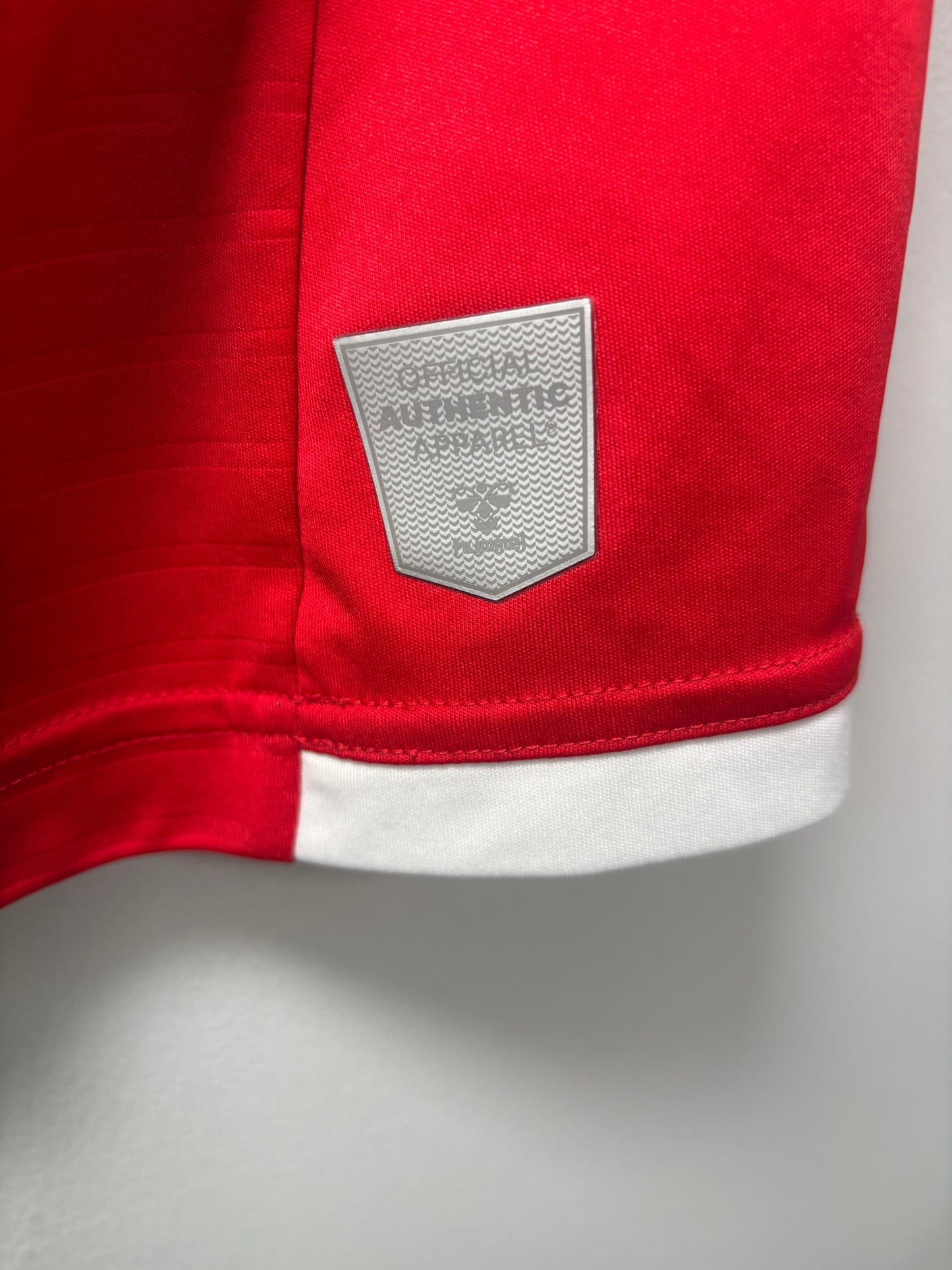Charlton Home Shirt 2020/21 (L)