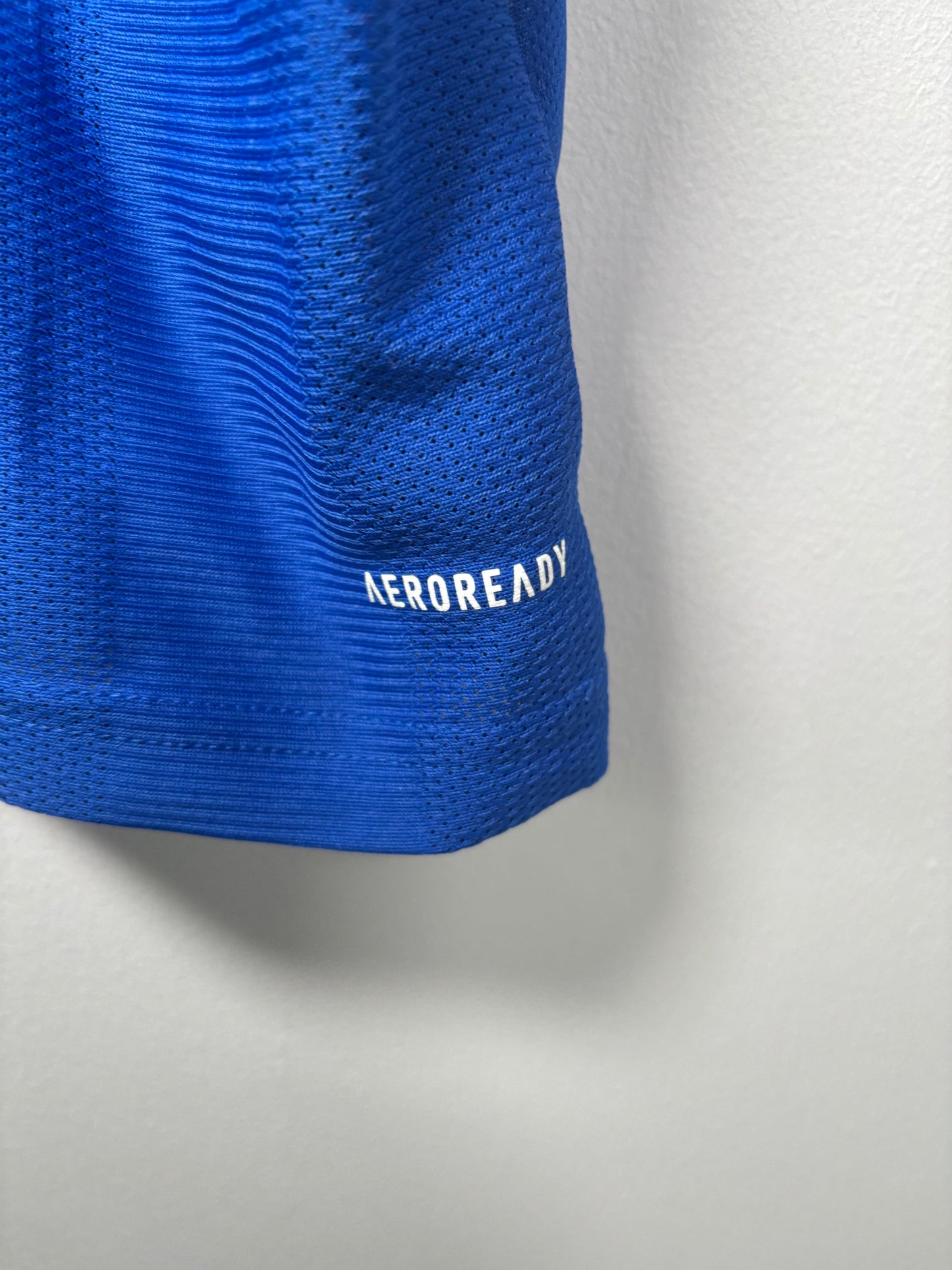 Cardiff City Home Shirt 2021/22 (L)
