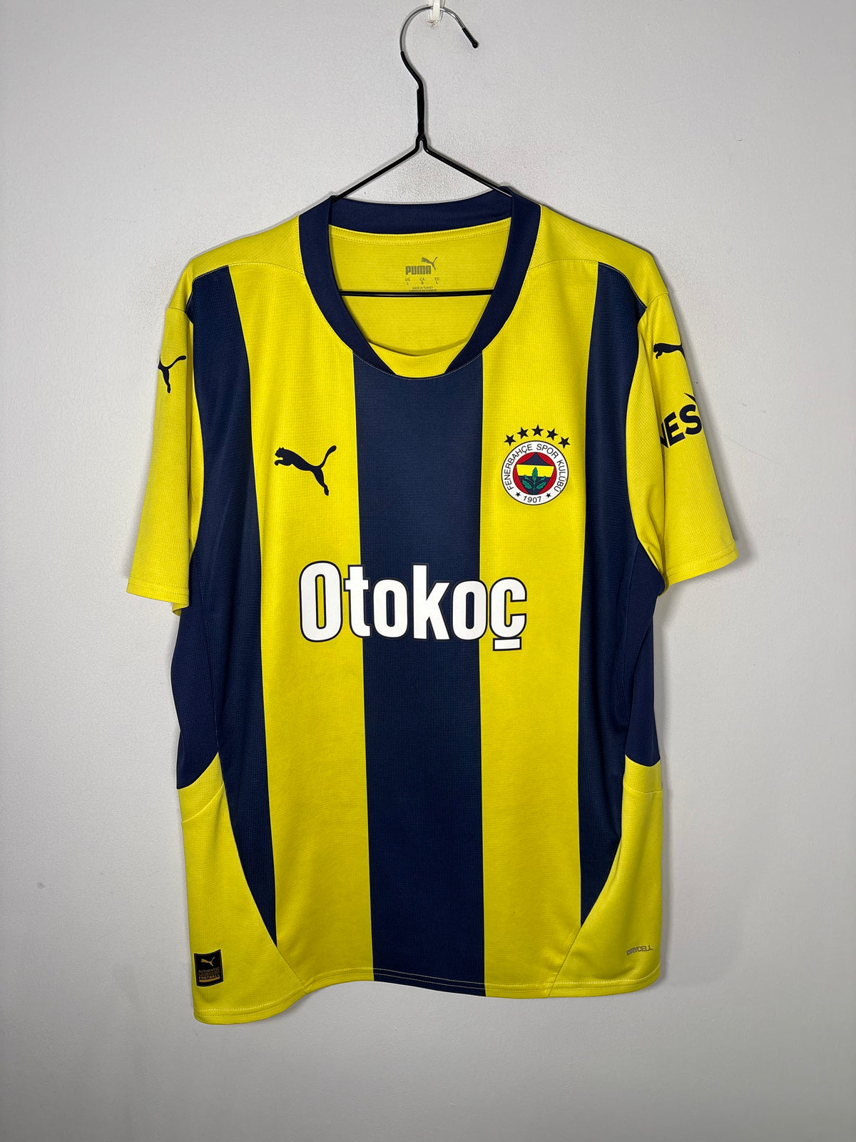 Fenerbahce Home Shirt 2024/25 (L)