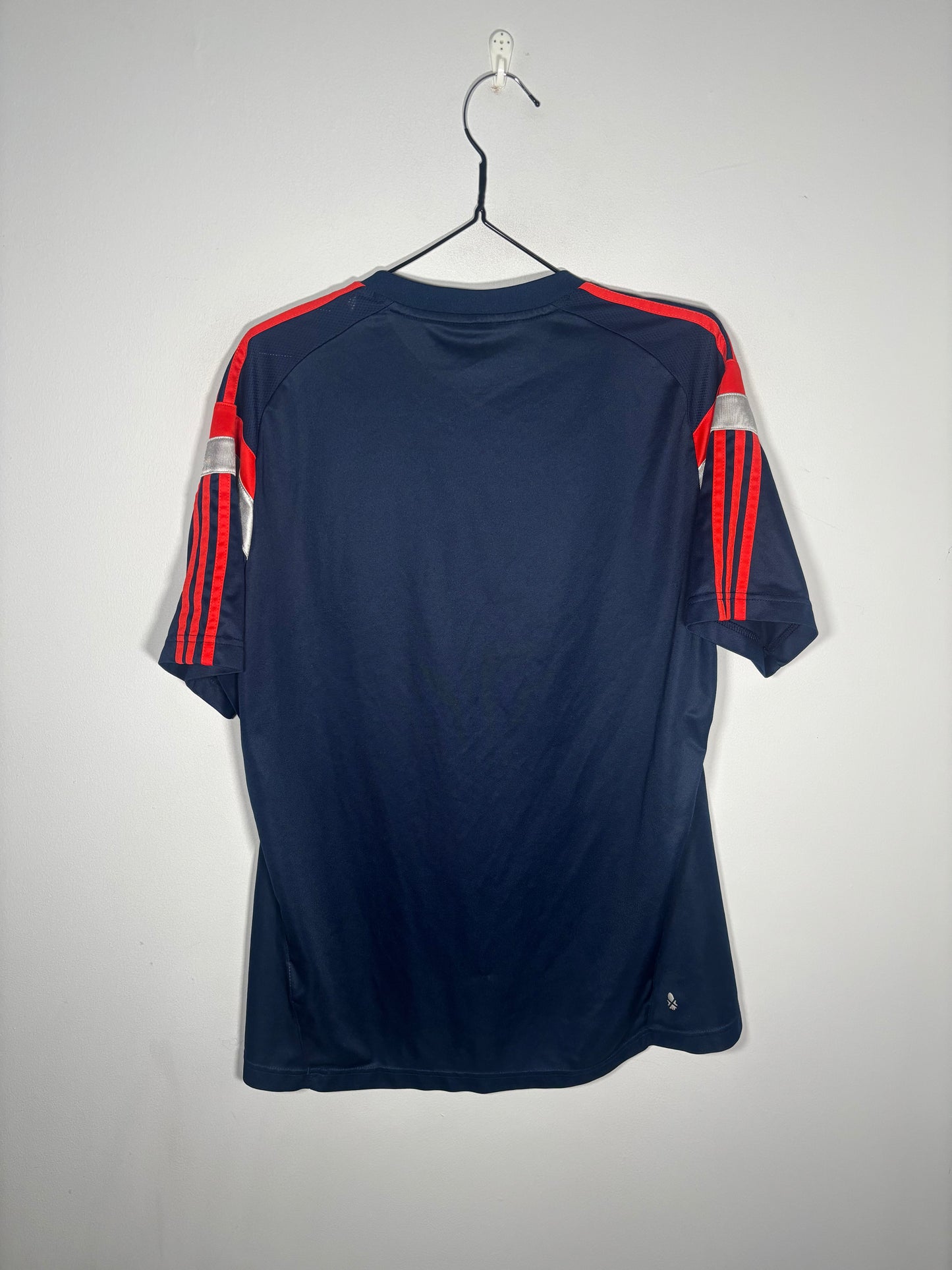 Scotland Training Shirt 2013/14 (L)