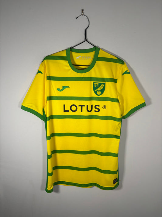 Norwich City Home Shirt 2023/24 (M)