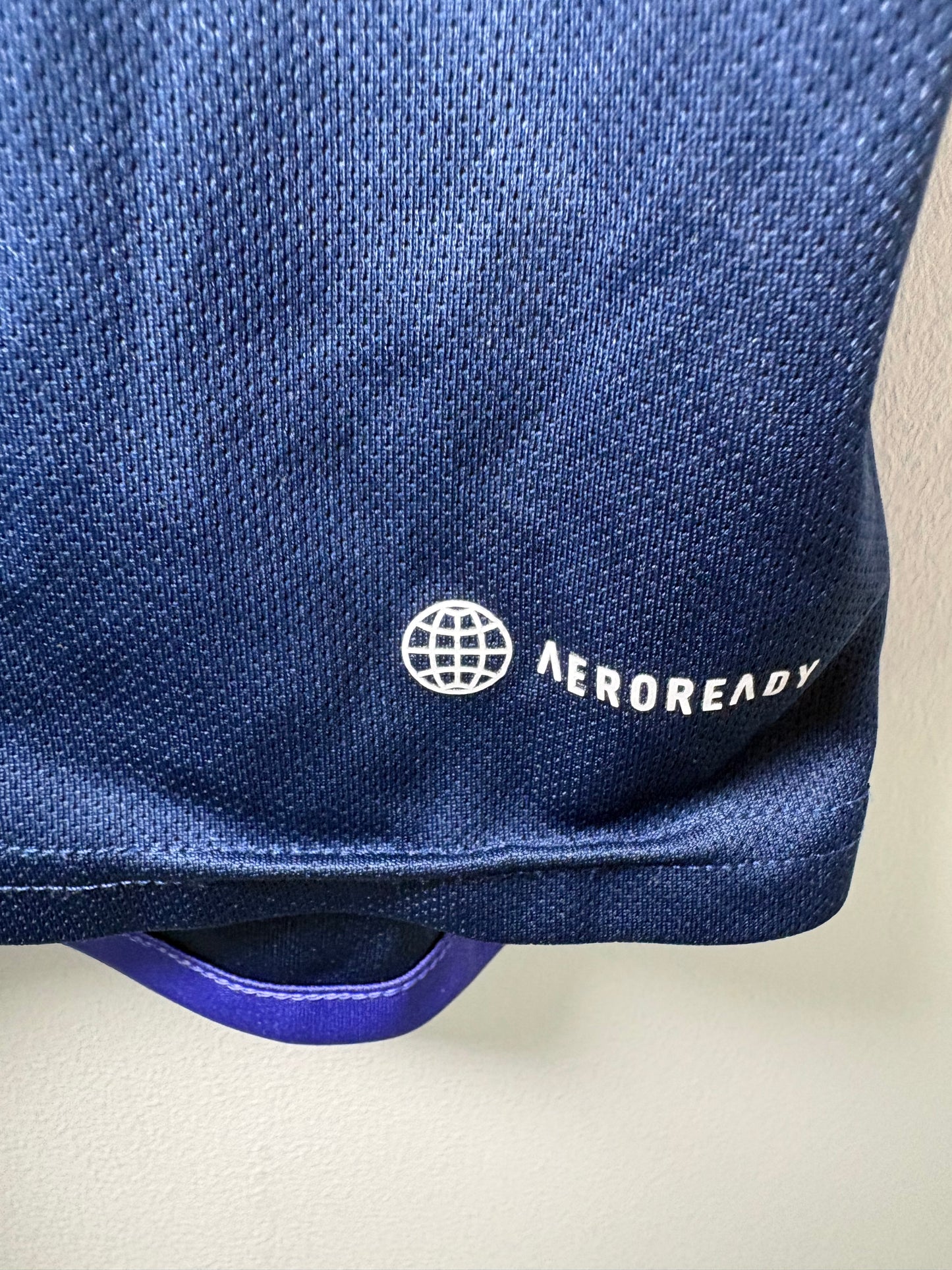 Scotland Home Shirt 2022 (L)