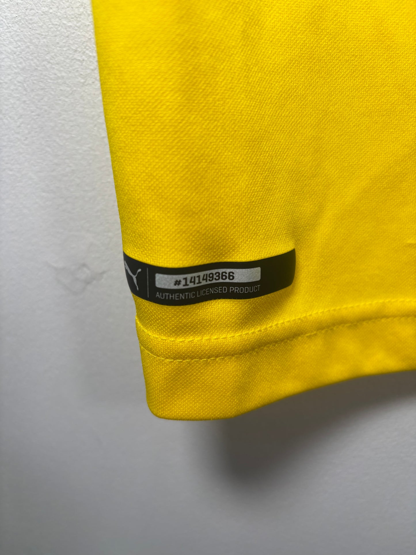 Dortmund Home Shirt 2018/19 (M)