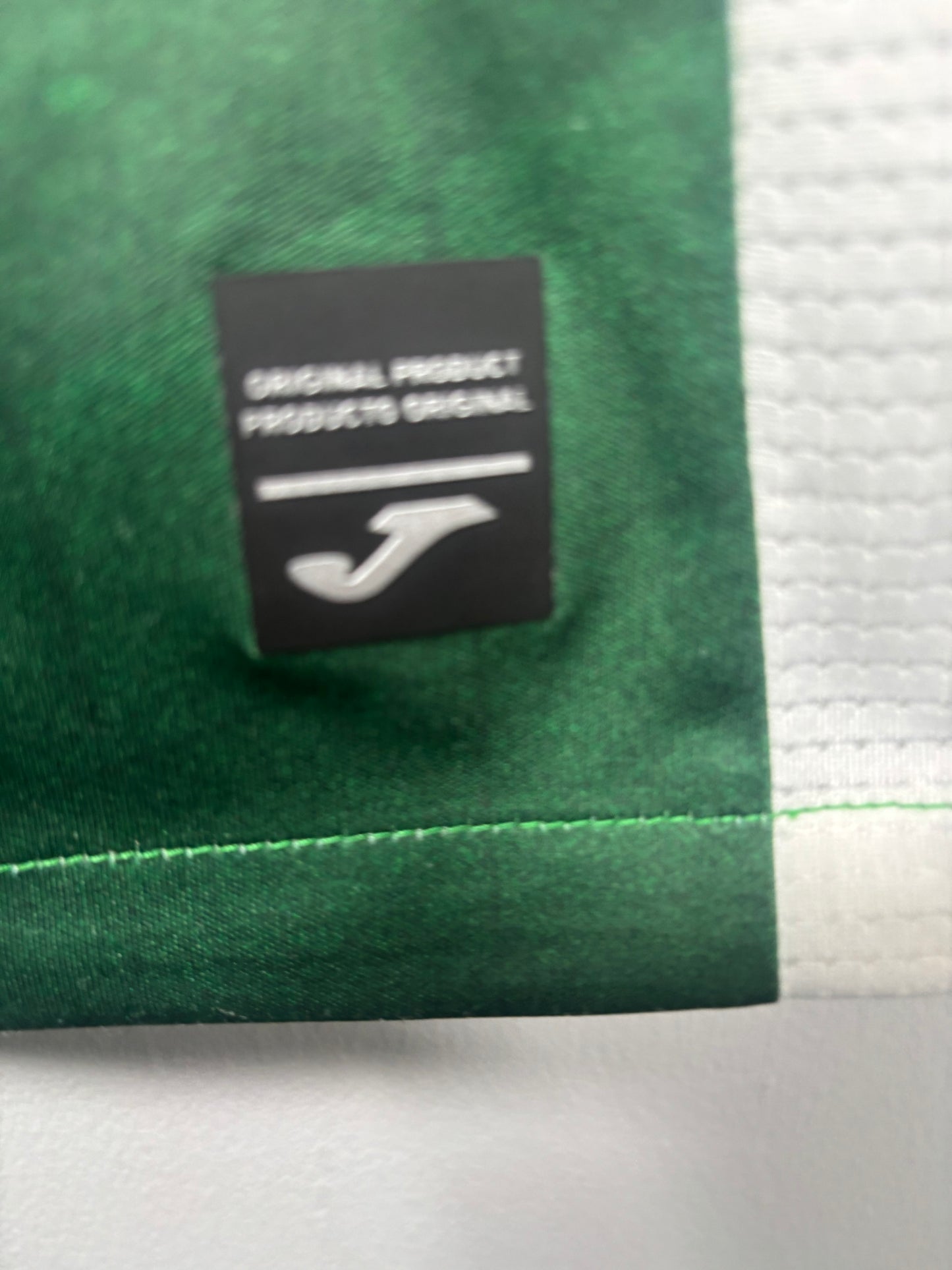 Hibernian Home Shirt 2022/23 (L)