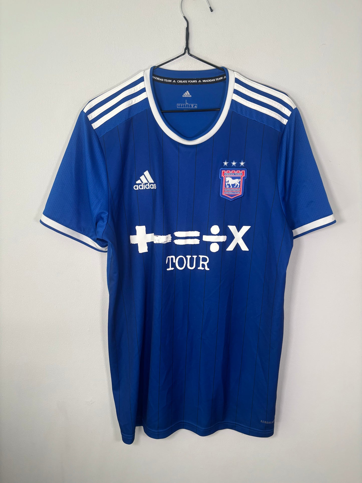 Ipswich Town Home Shirt 2021/22 (L)