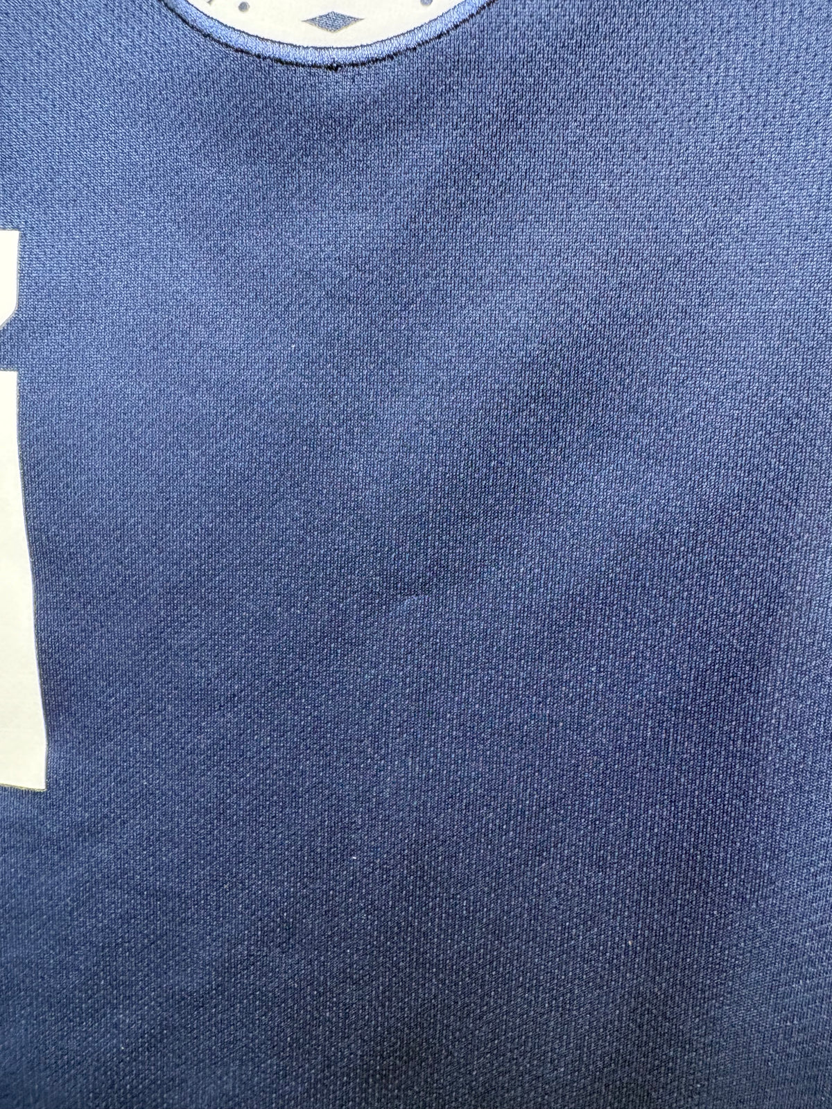 Scotland Authentic Home Shirt 2022 Mctominay (LK)