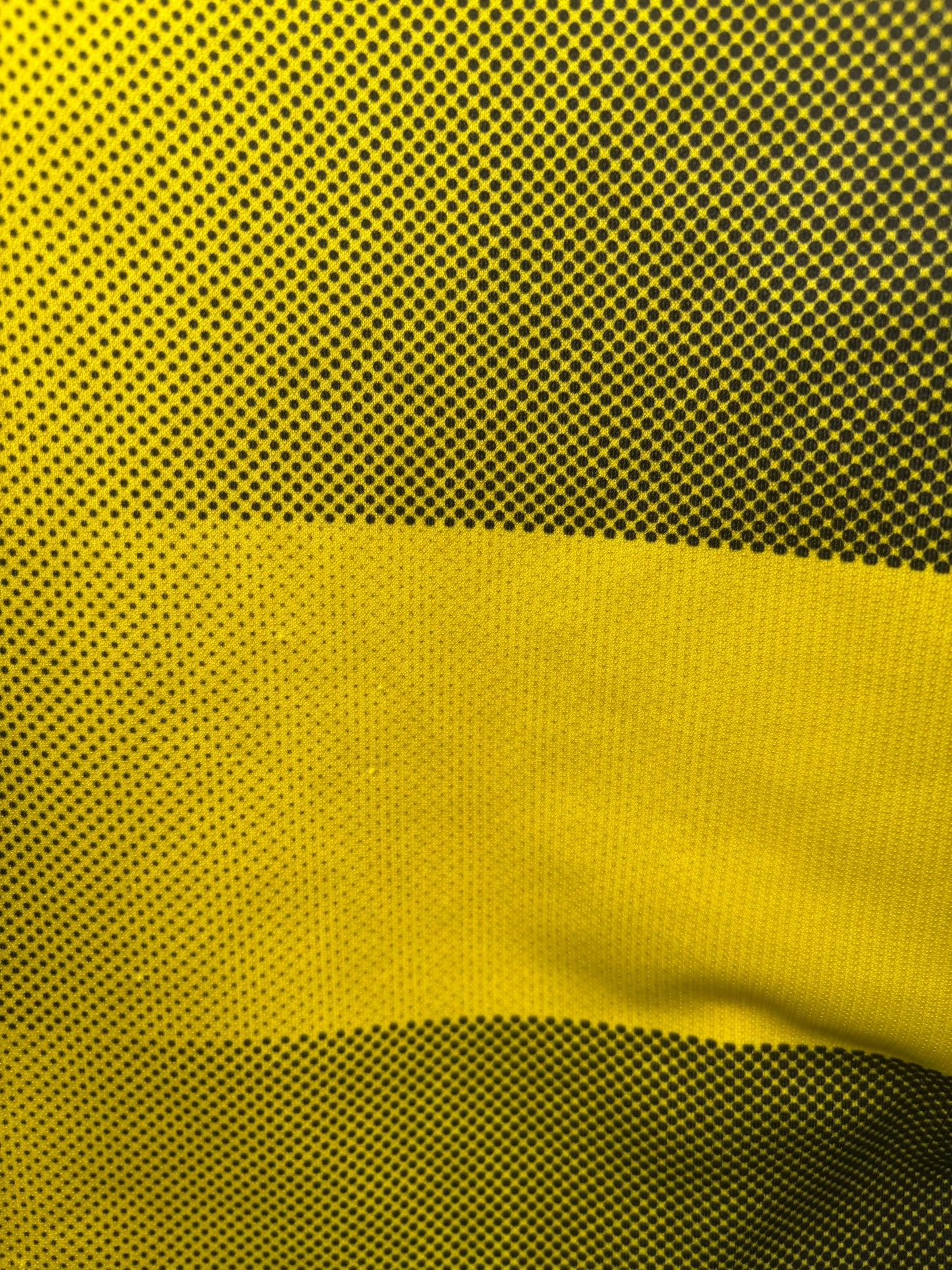 Dortmund Home Shirt 2017/18 (S)