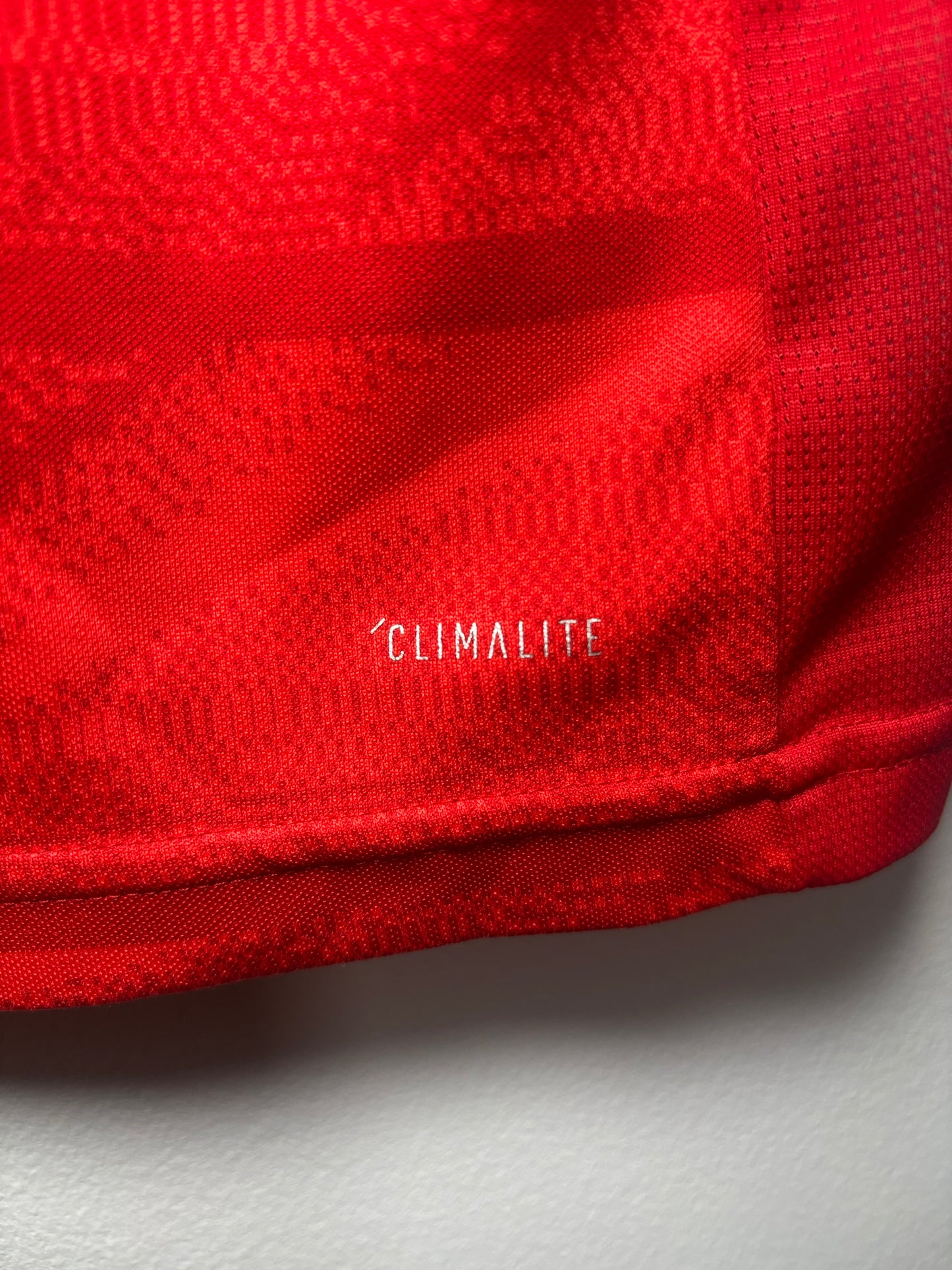 Bayern Munich Home Shirt 2019/20 (S)