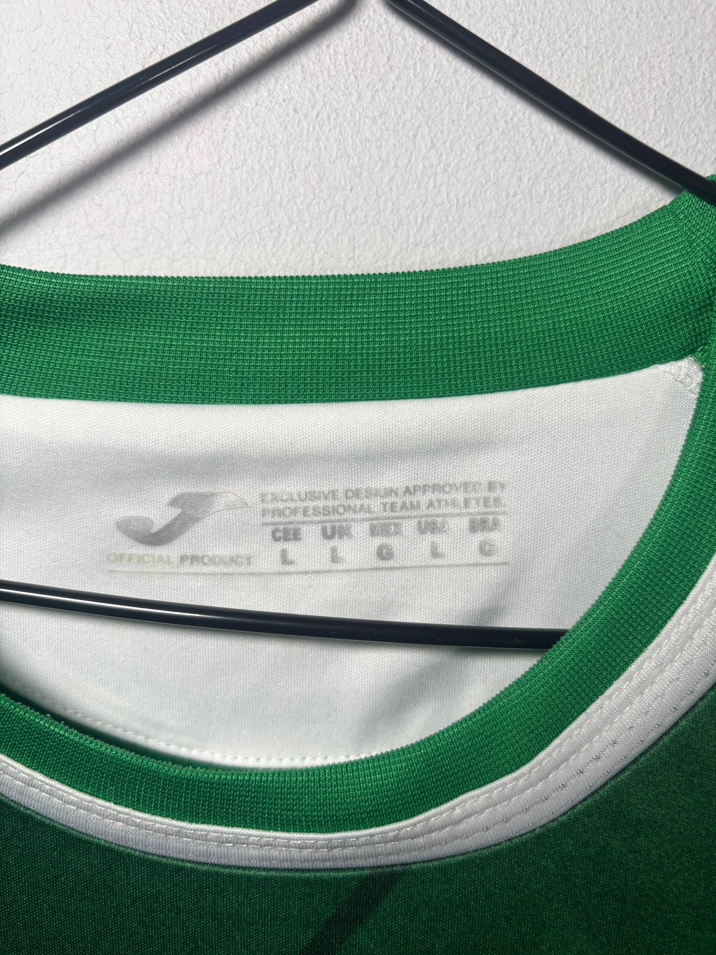 Hibernian Home Shirt 2022/23 (L)