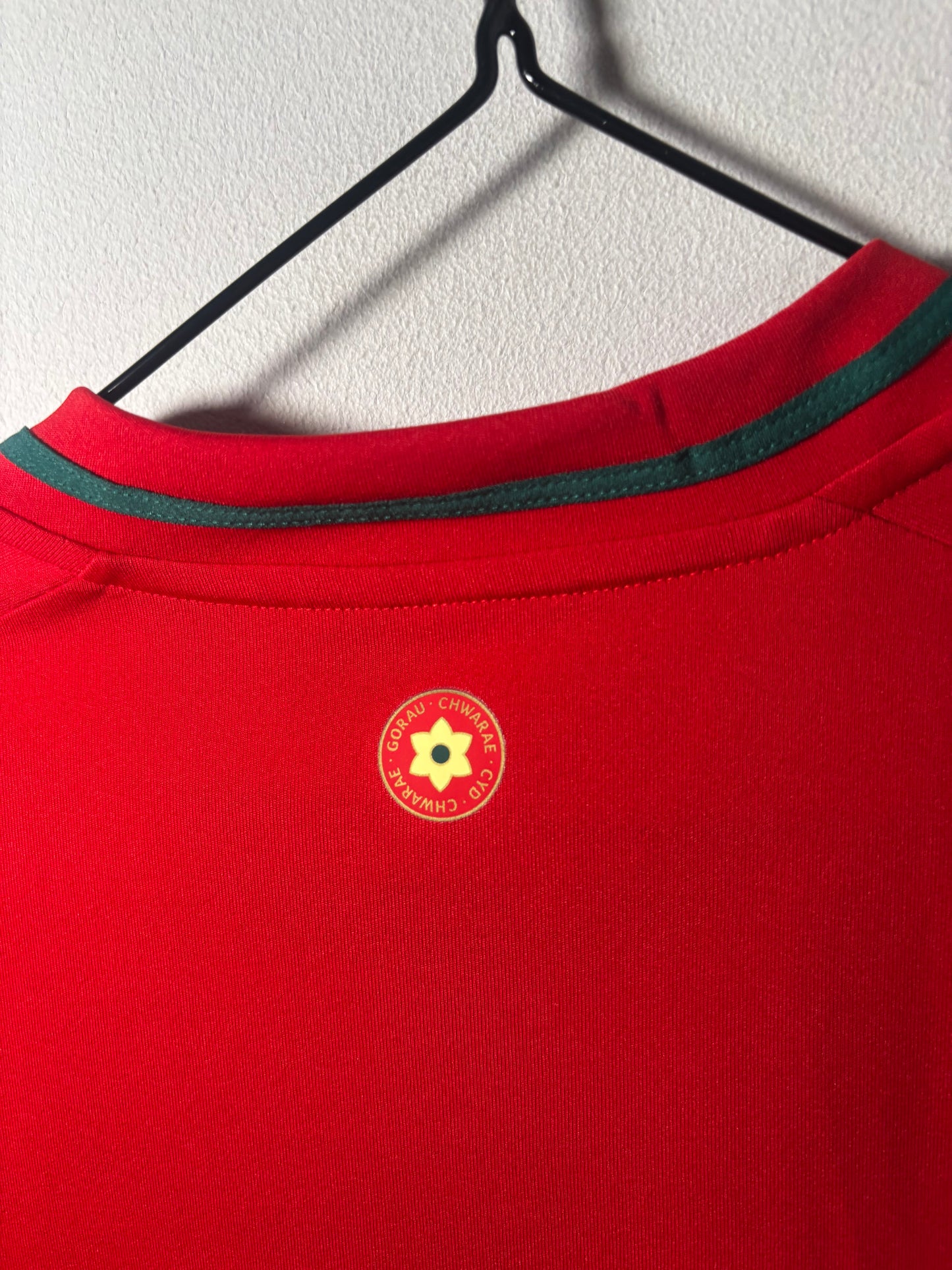 Wales Home Shirt 2024 (M)