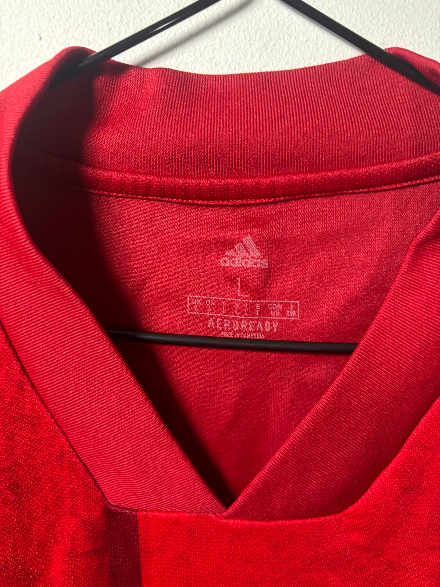 Spain Home Shirt 2020 (L)