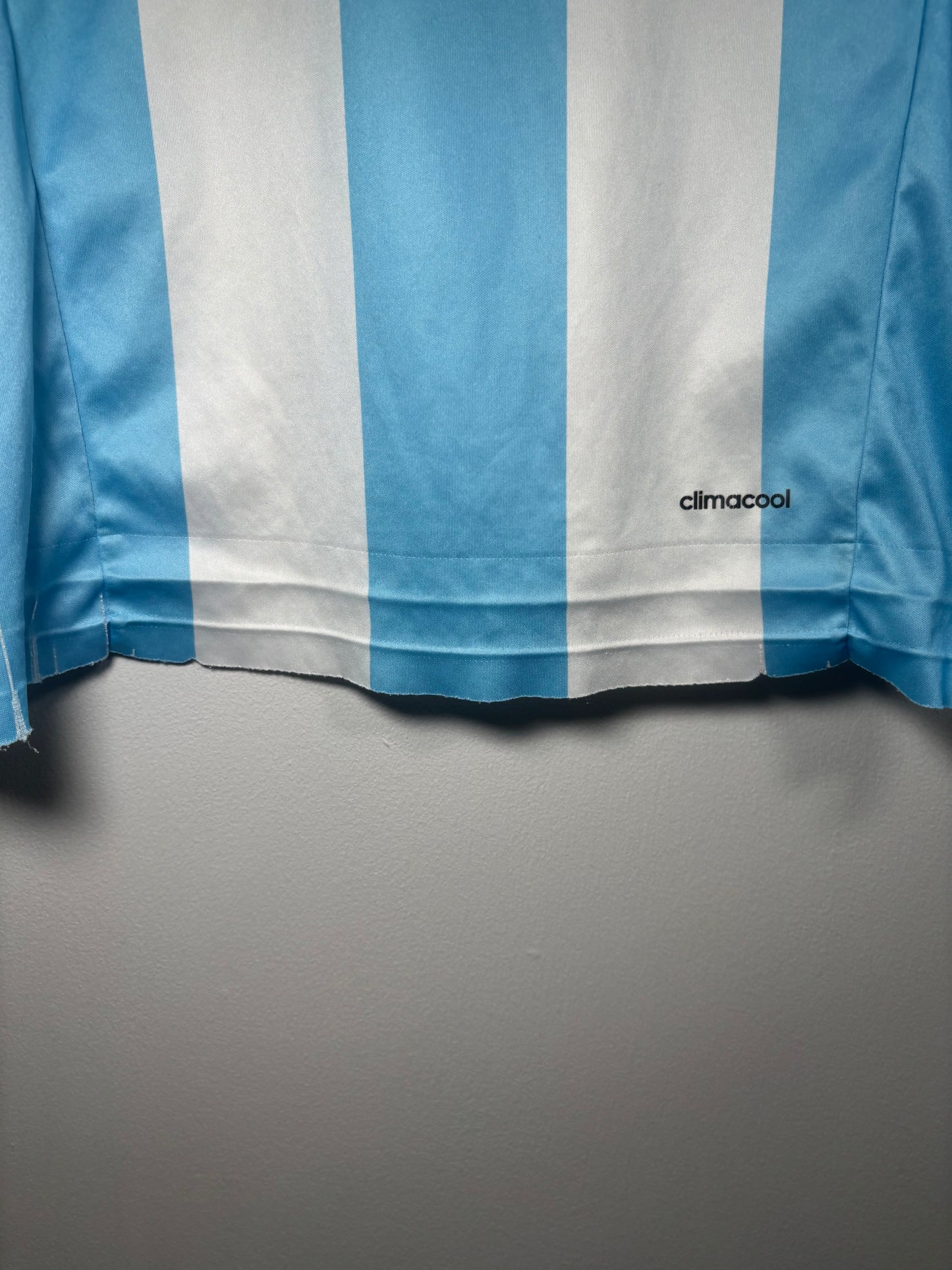 Argentina Home Shirt 2016 (M)