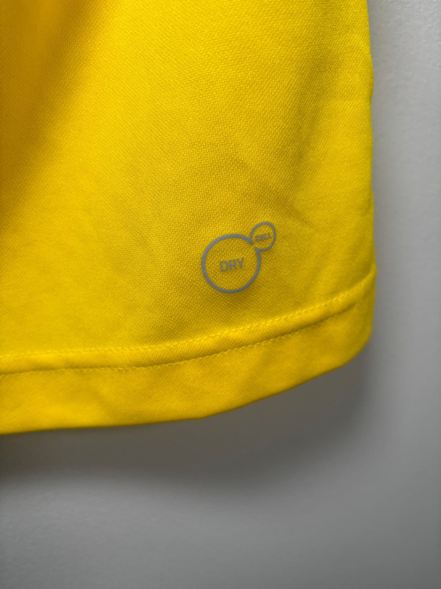 Dortmund Home Shirt 2018/19 (M)