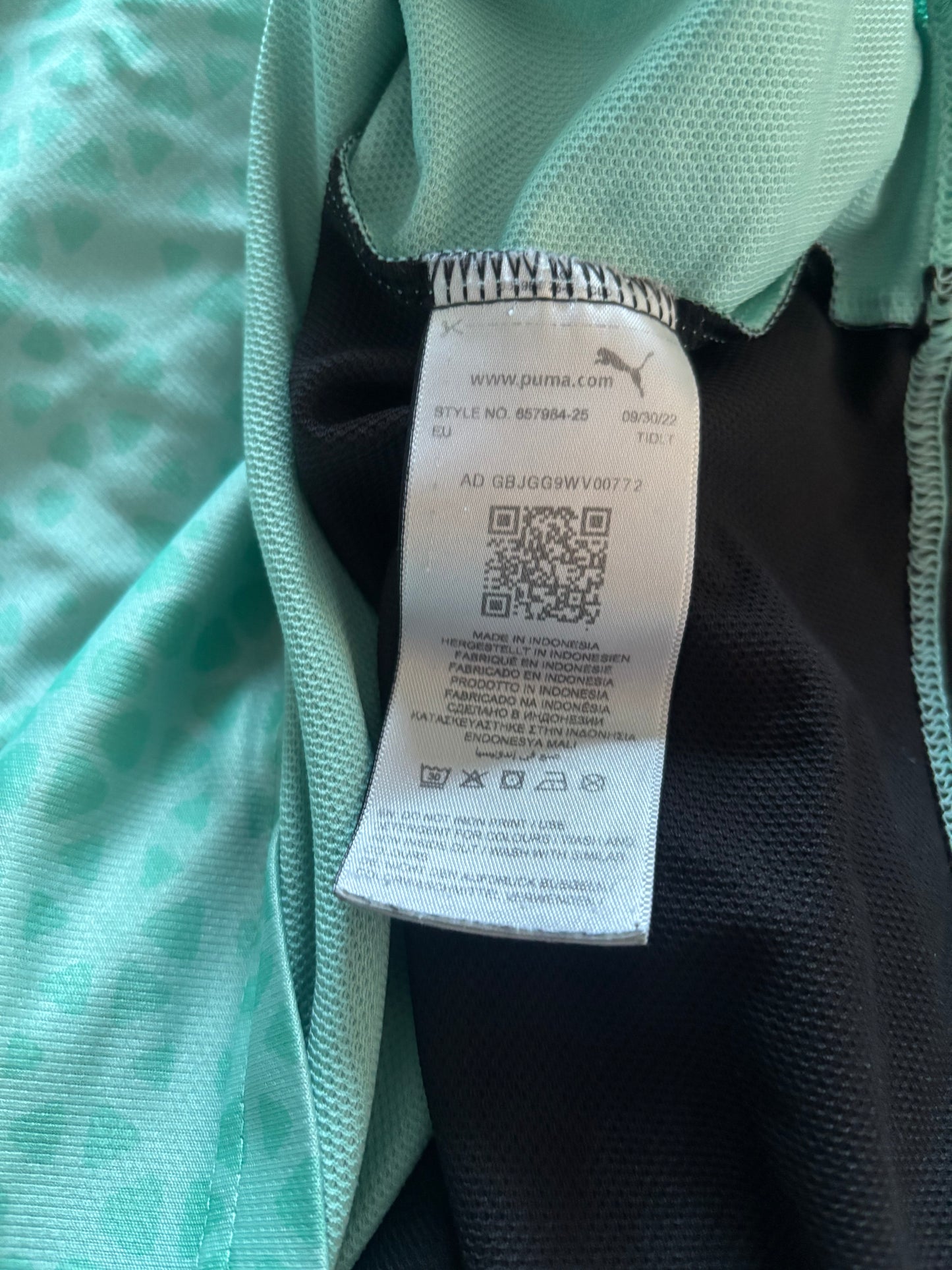 Plymouth Argyle Training Shirt (L)