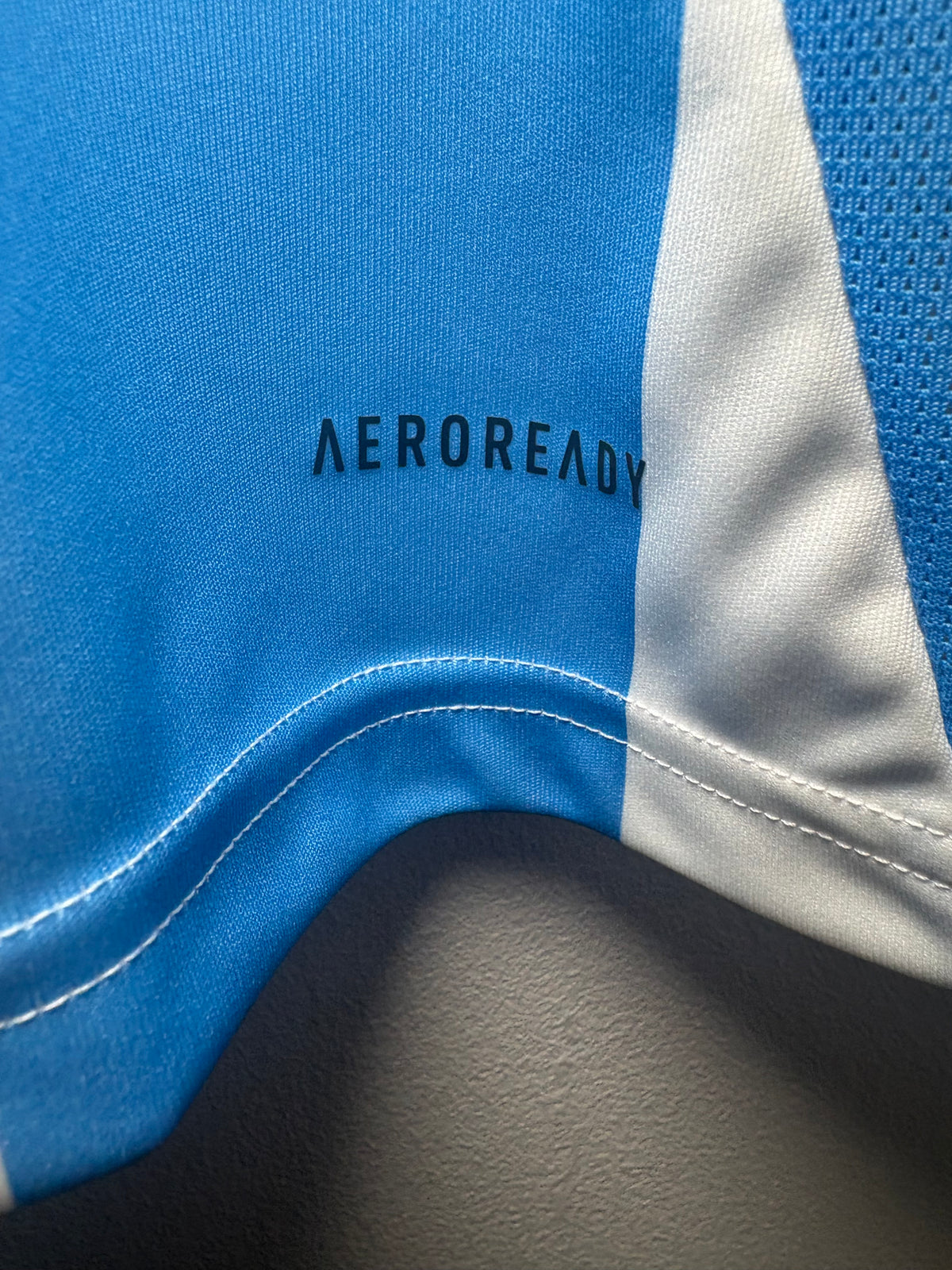 Argentina Authentic  Home Shirt 2024 Messi (XL)