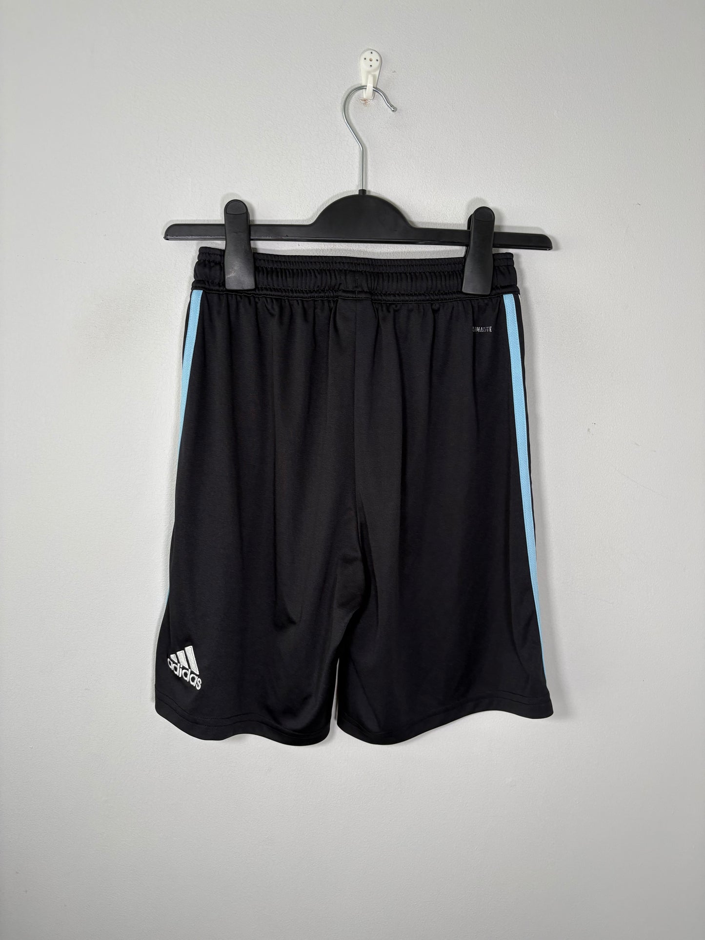 Argentina Home Shorts 2018 (S)