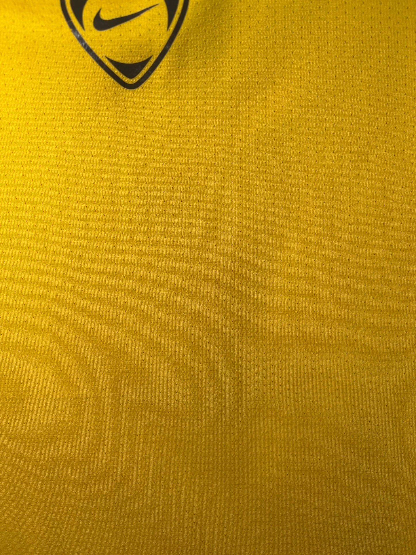 Brazil Training Shirt 2008/10 (L)