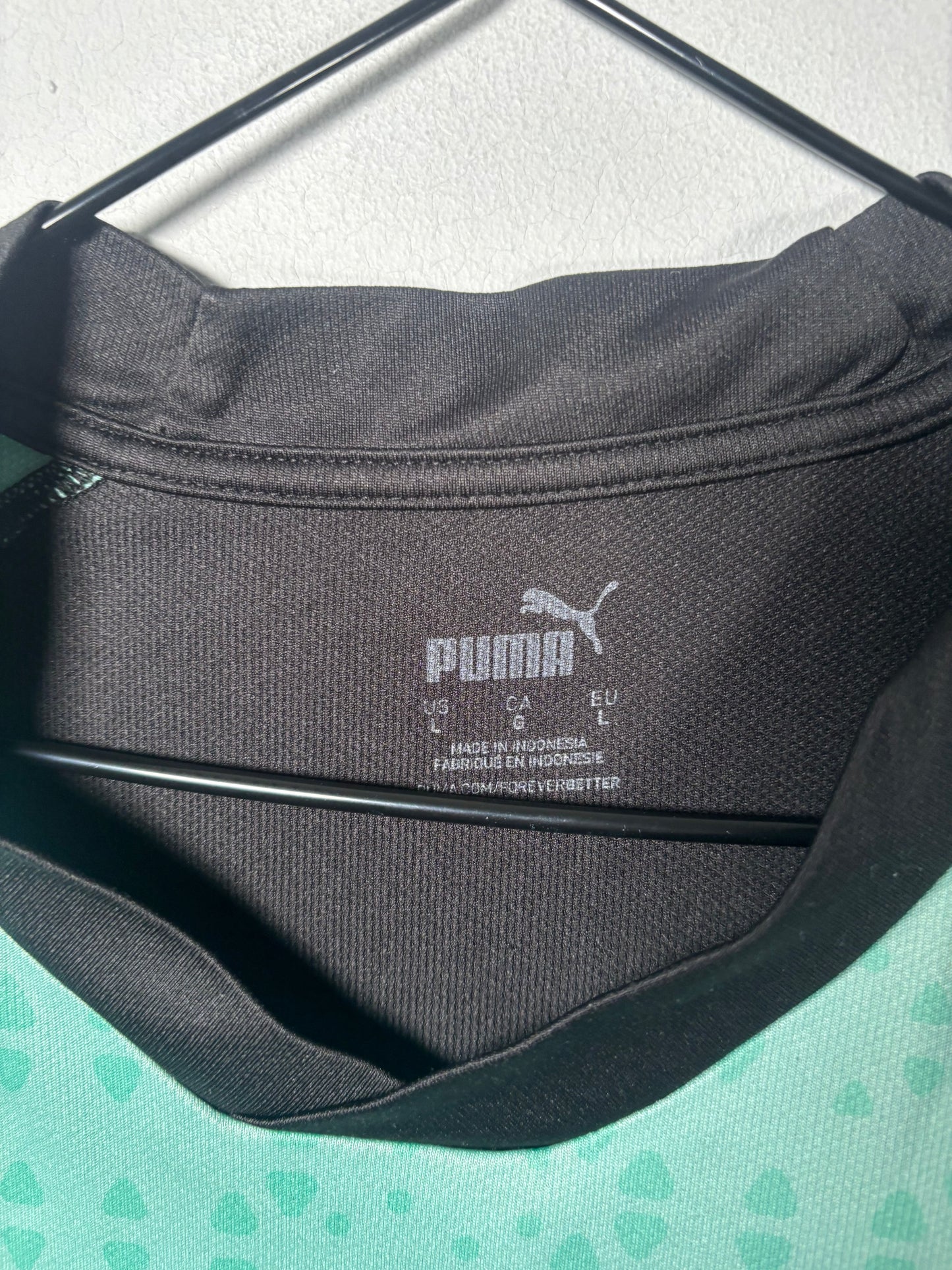 Plymouth Argyle Training Shirt (L)