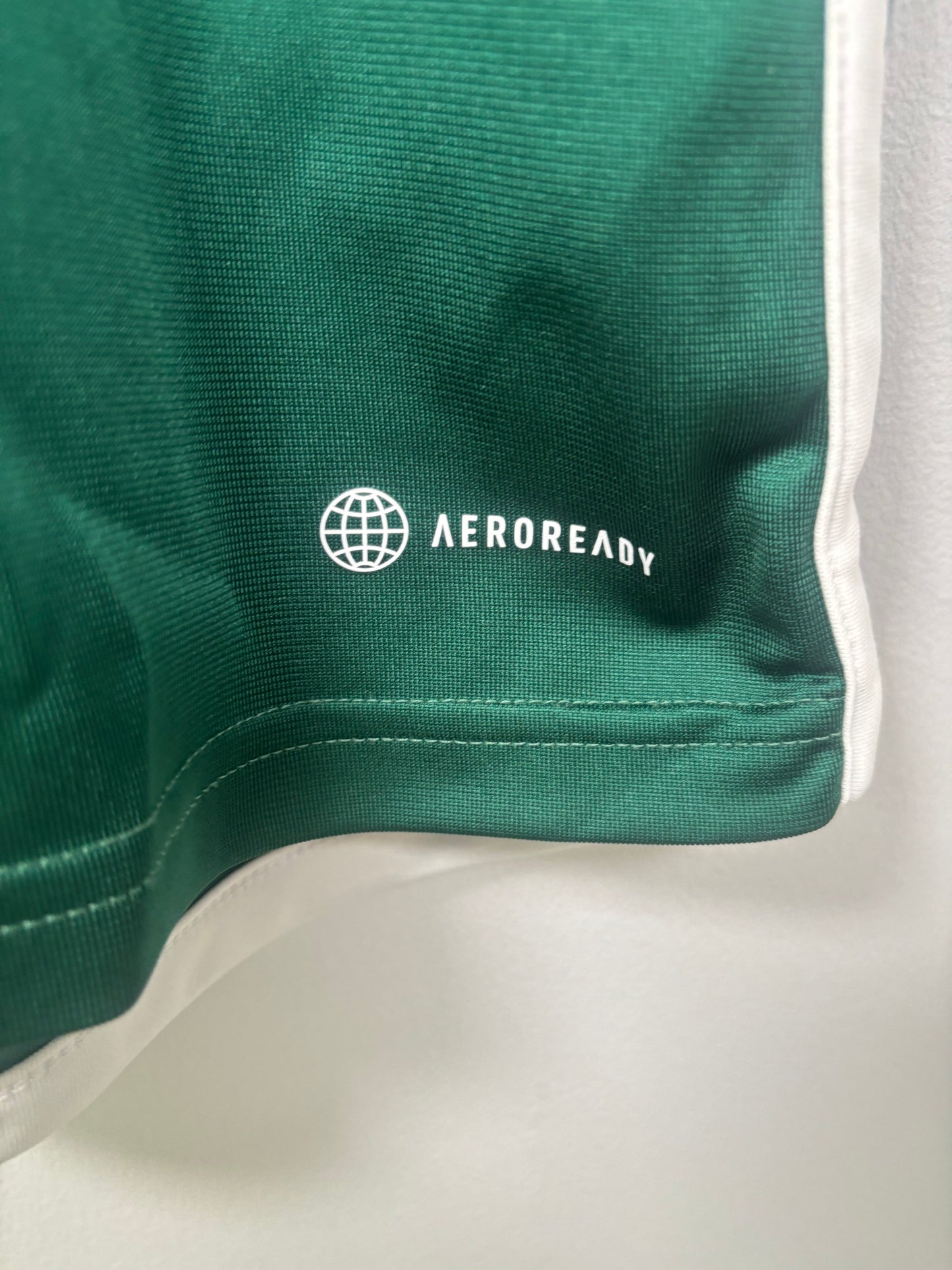 Northern Ireland Home Shirt 2022 (M)