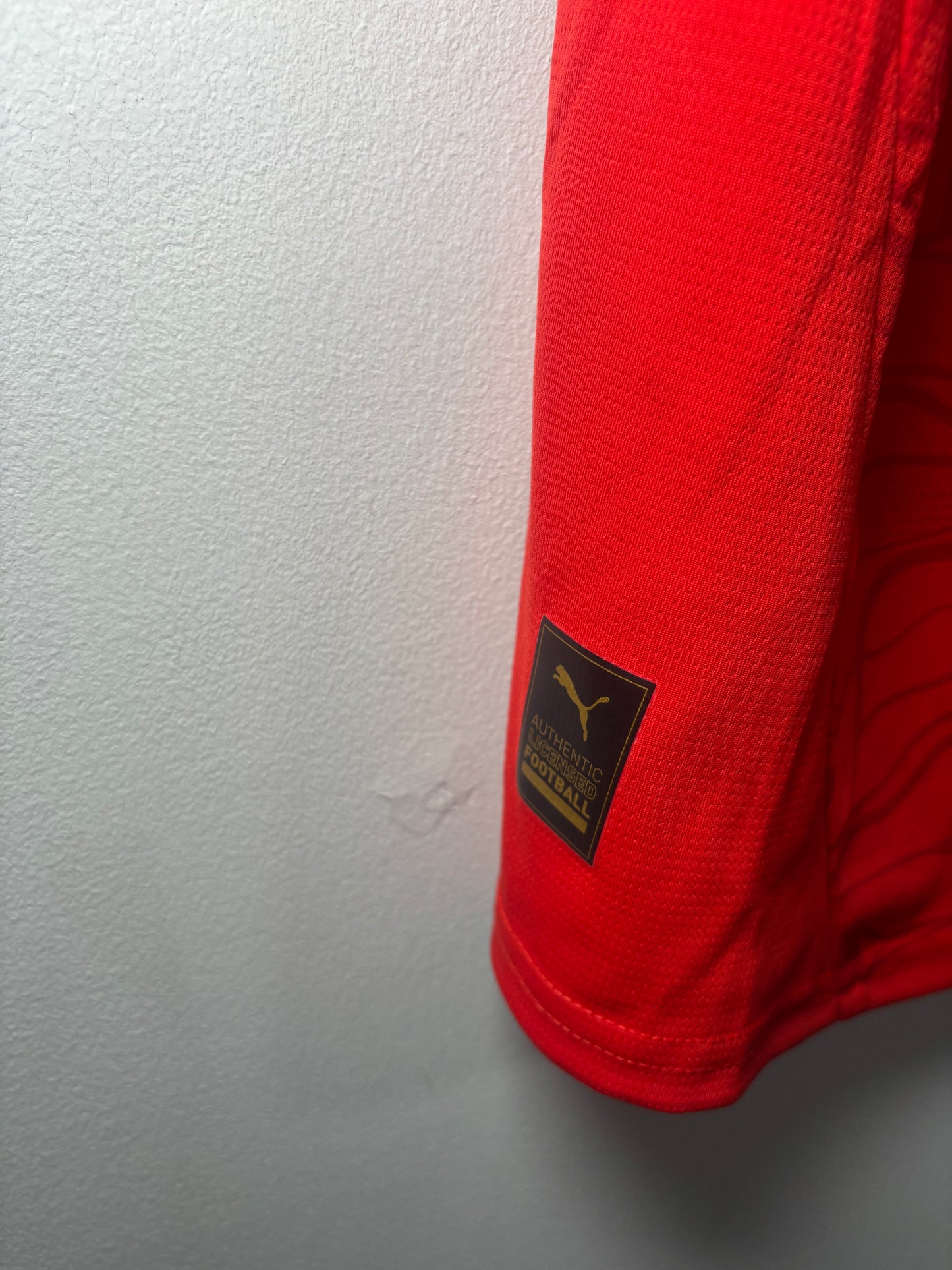 Austria Home Shirt 2024 (XL)