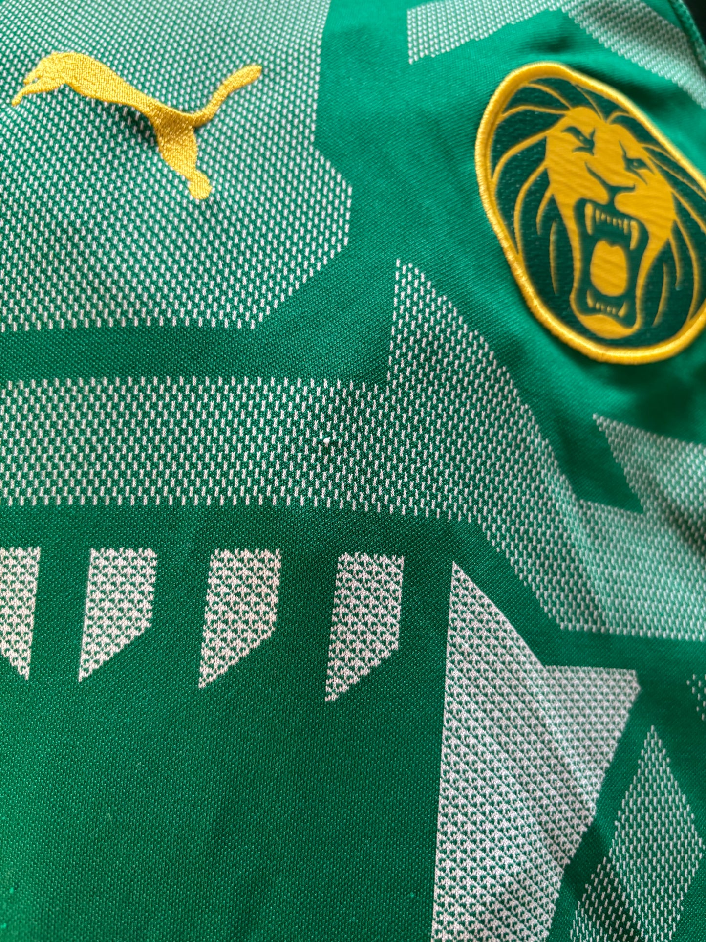 Cameroon Home Shirt 2018 (M)
