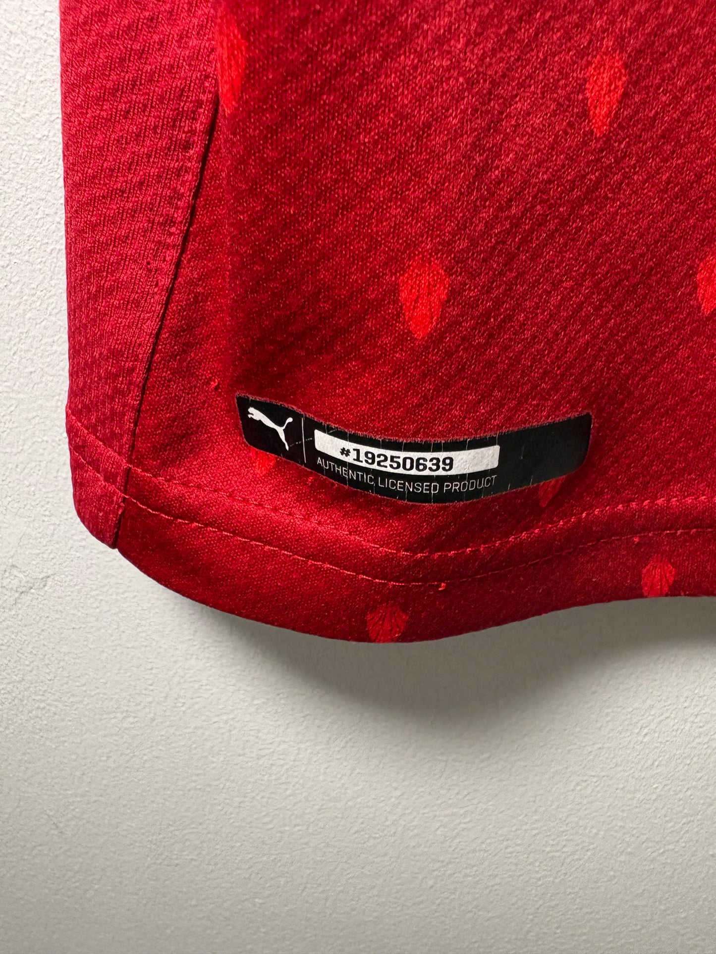 Austria Home Shirt 2020 (S)