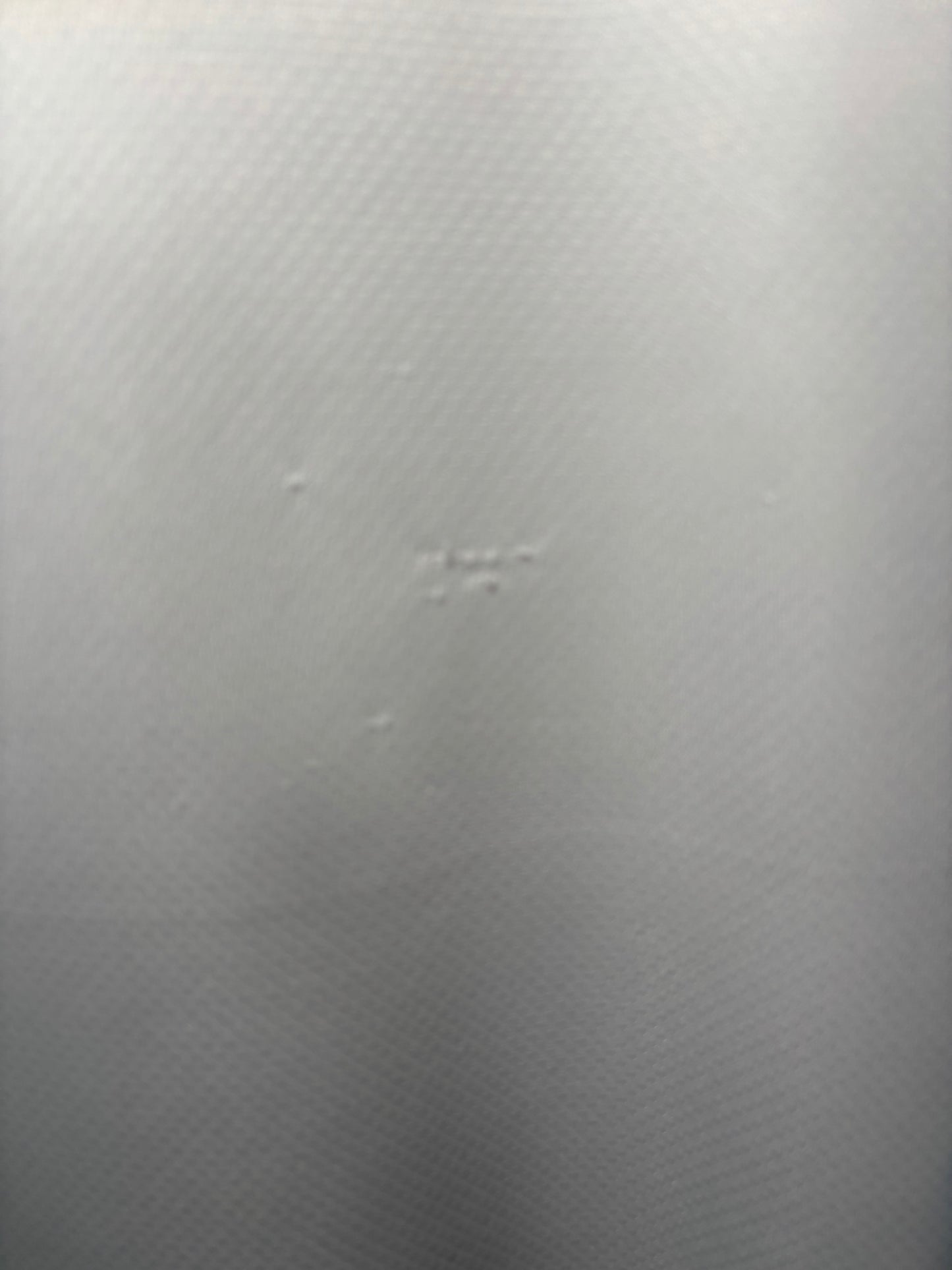 Leeds United Home Shirt 2024/25 (M)