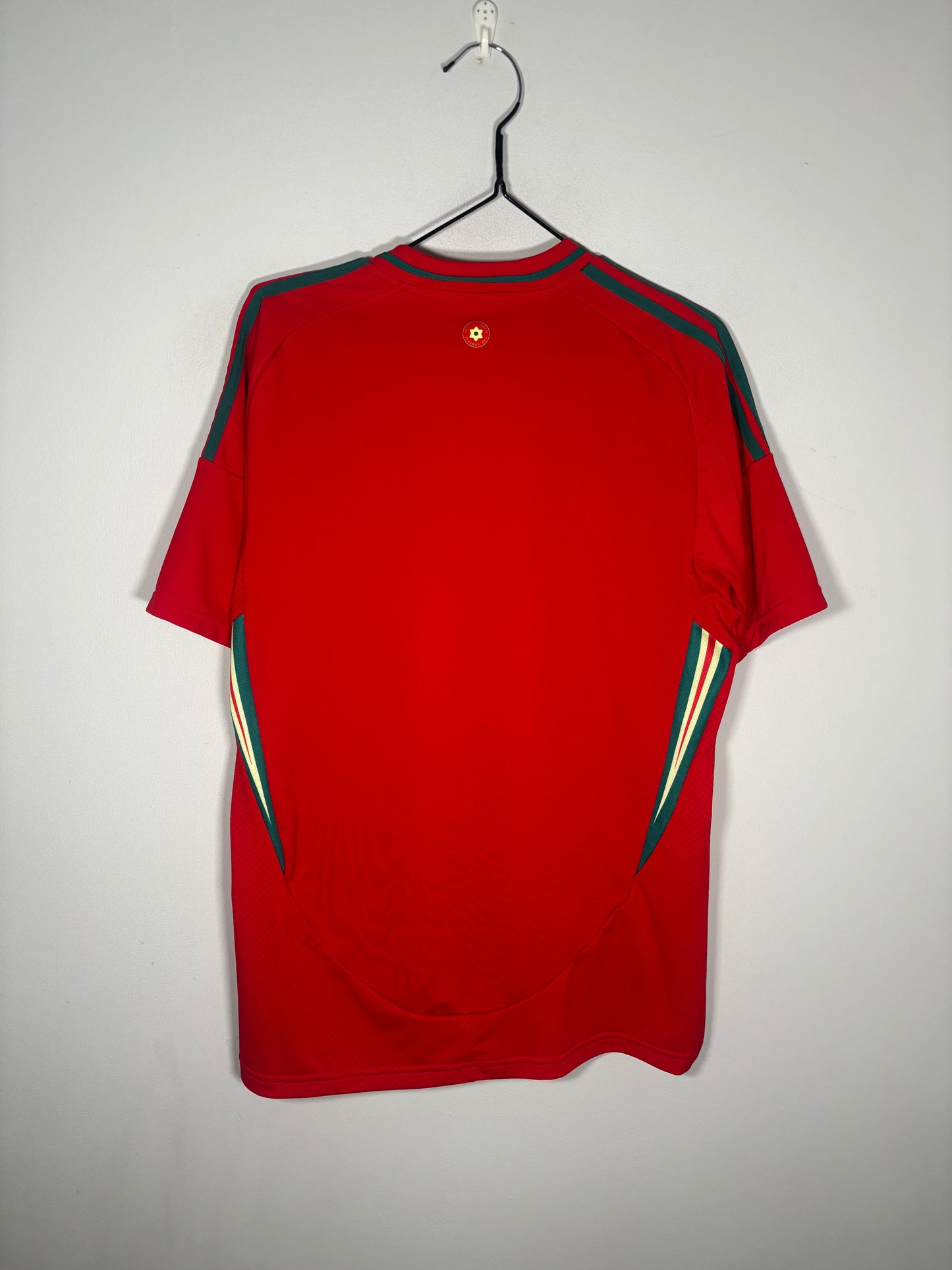 Wales Home Shirt 2024 (M)