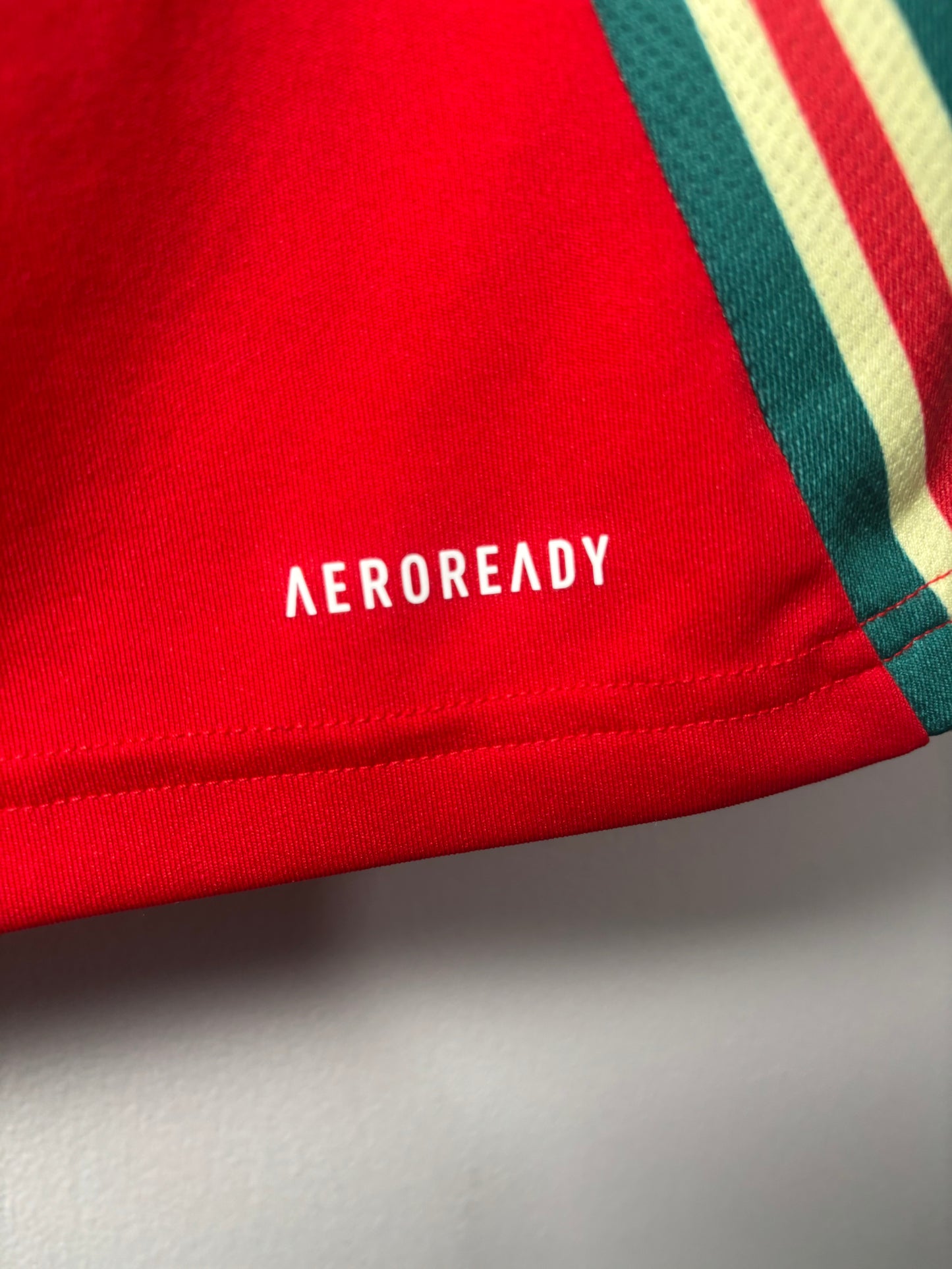 Wales Home Shirt 2024 (M)