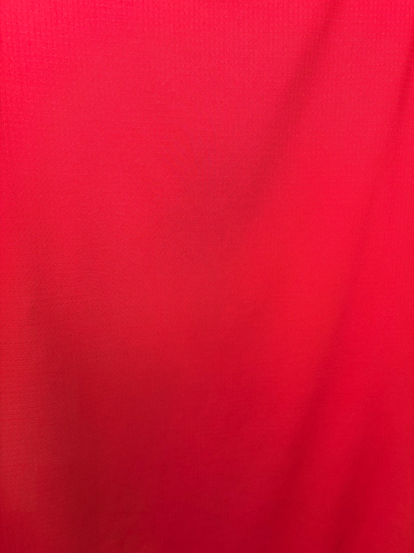Czech Republic Training Shirt 2020 (L)