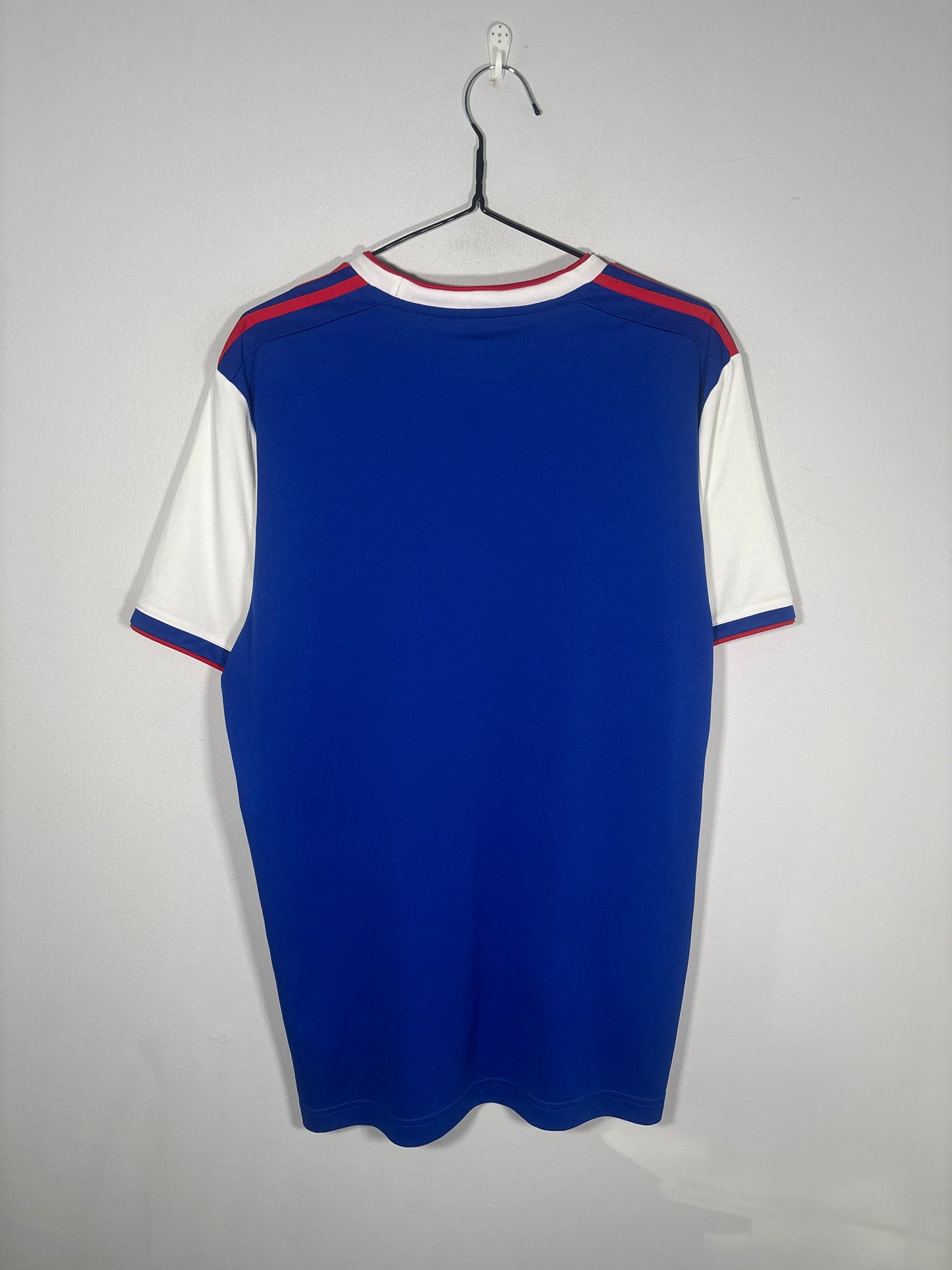 Ipswich Town Home Shirt 2018/19 (L)