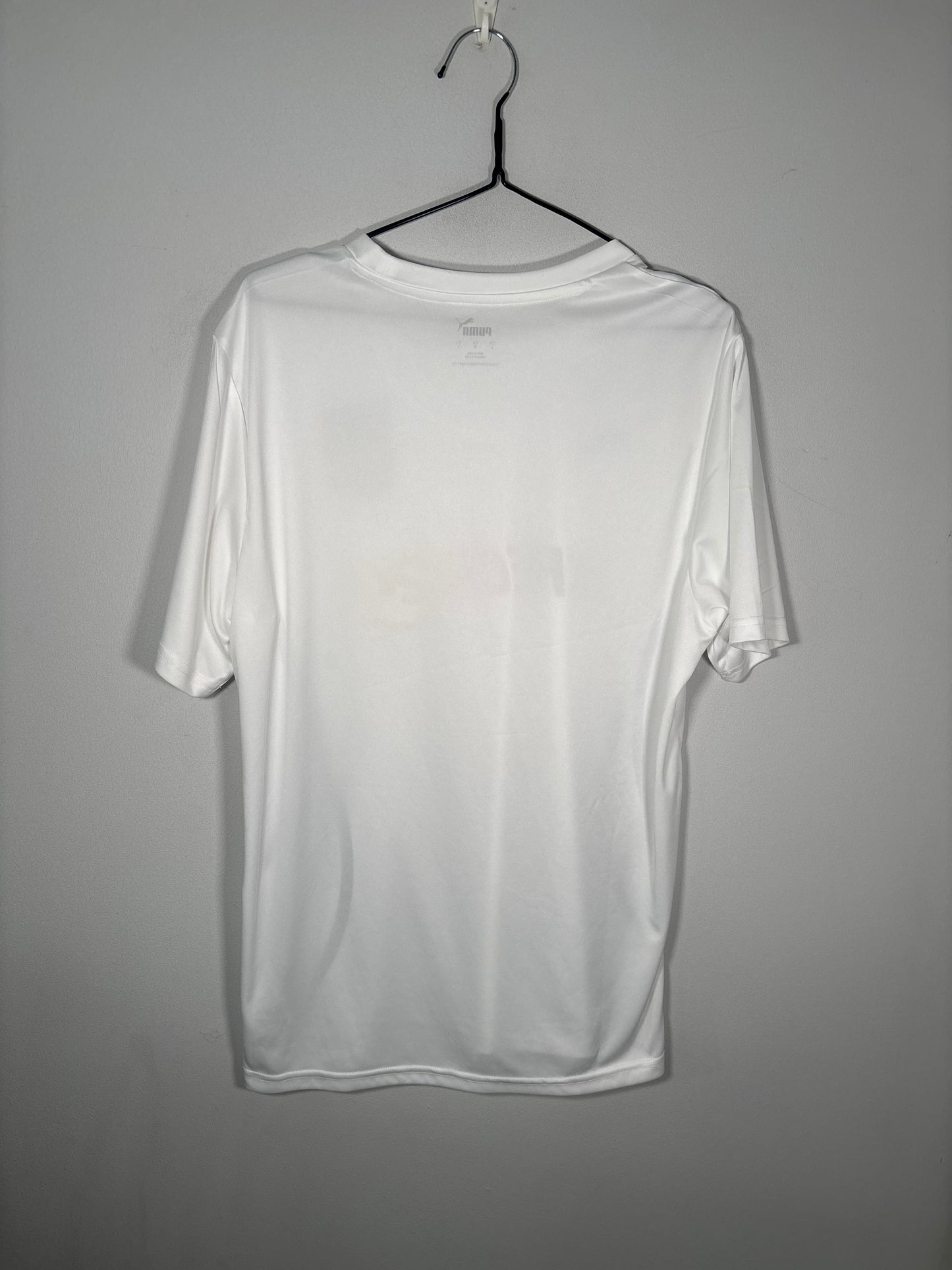 Germany Training Shirt 2024 (L)
