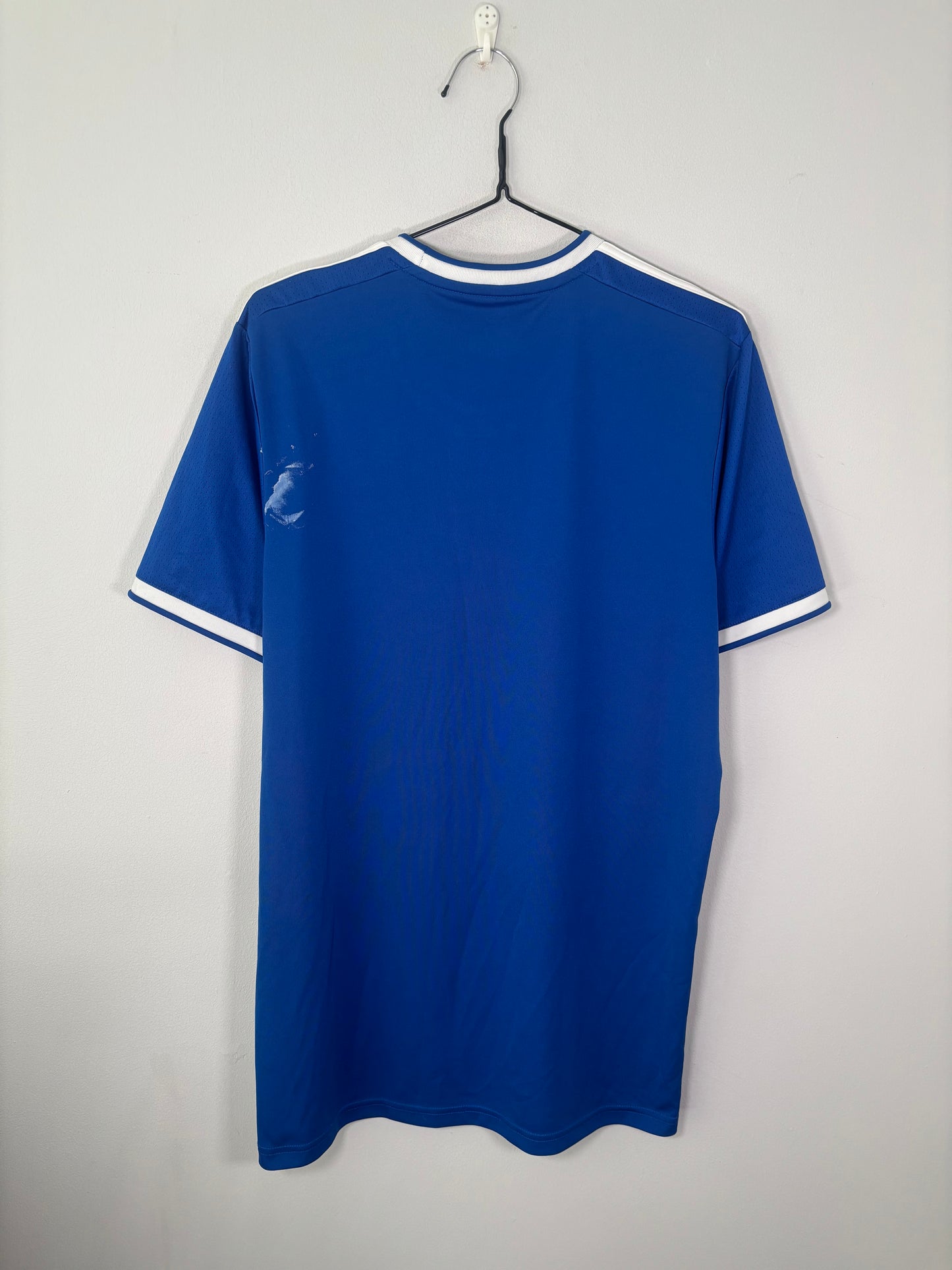 Ipswich Town Home Shirt 2021/22 (L)