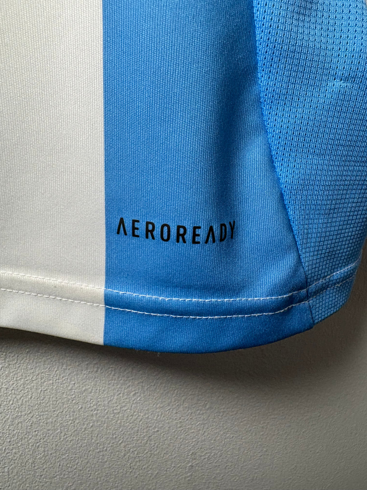 Argentina Home Shirt 2024 (M)